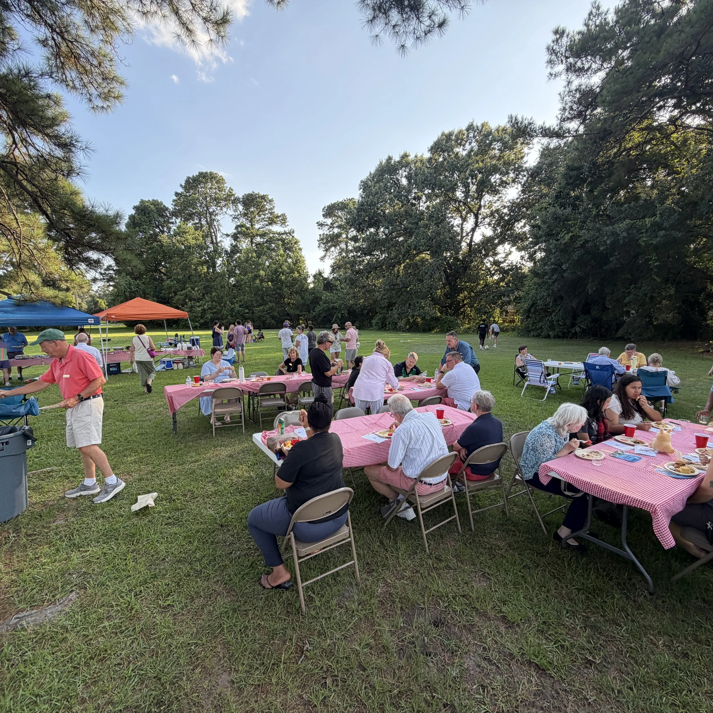People gathered outdoors at a park or picnic area with trees in the background, some seated at tables with pink and blue checkered tablecloths, others standing, and tents set up.