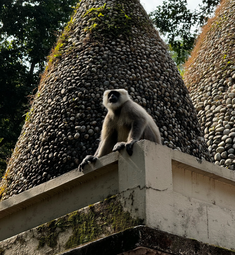 Capture d’écran 2026-03-10 à 16.36.32.png