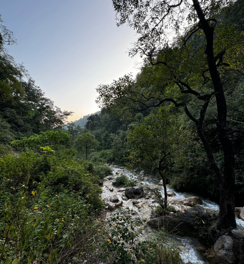 Capture d’écran 2026-03-10 à 16.36.14.png