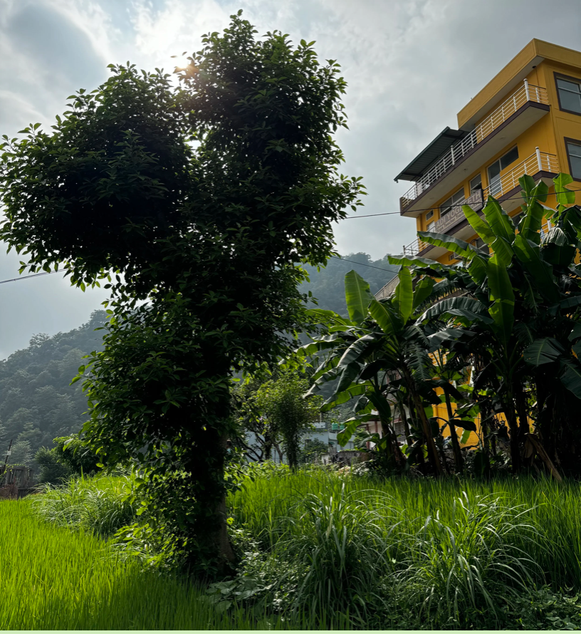 Capture d’écran 2026-03-10 à 16.13.03.png