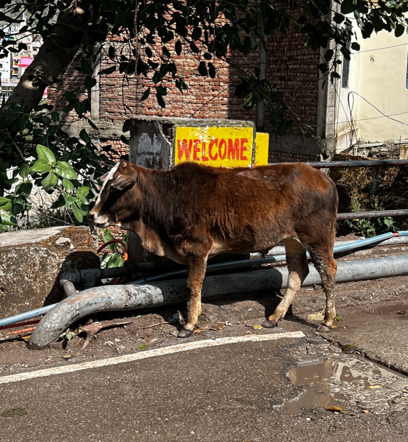 Capture d’écran 2026-03-10 à 16.13.26.png