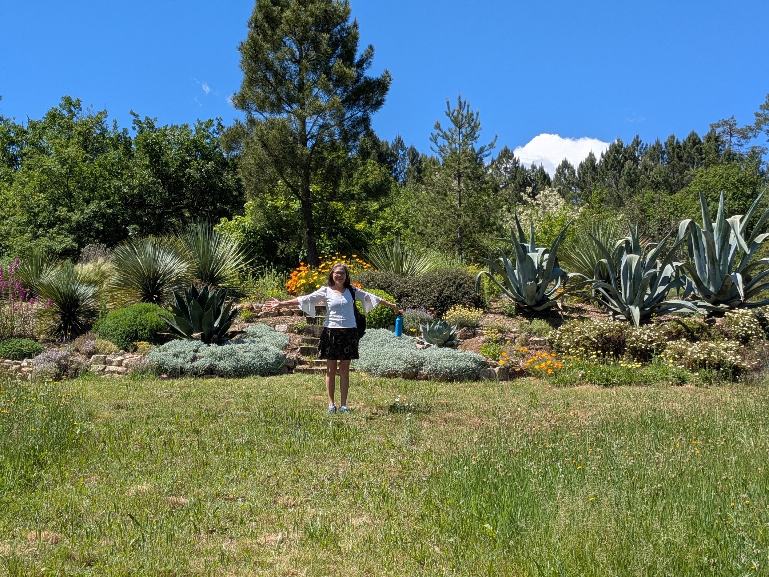 The xeriscape "butte"