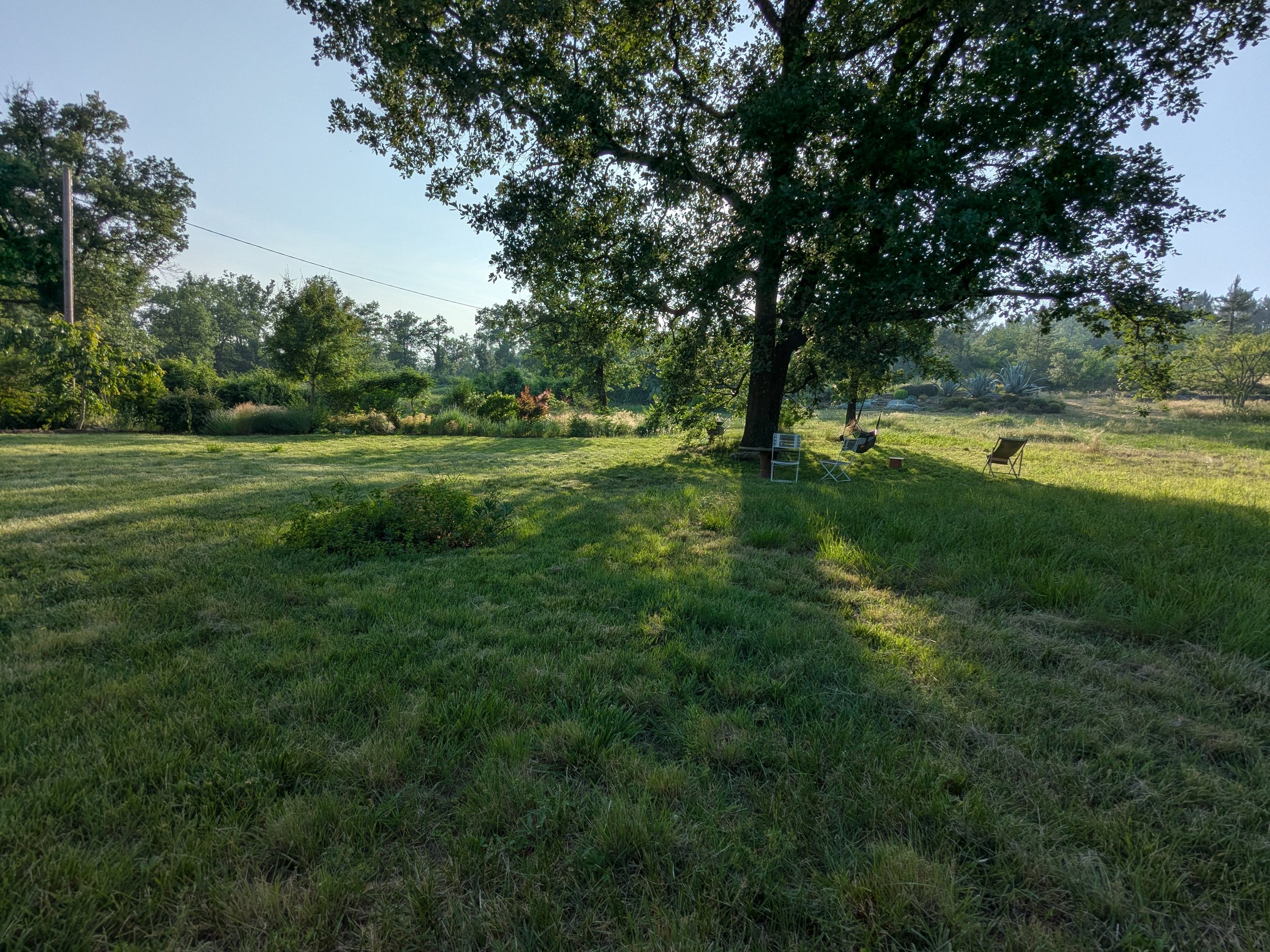 Under the big oak