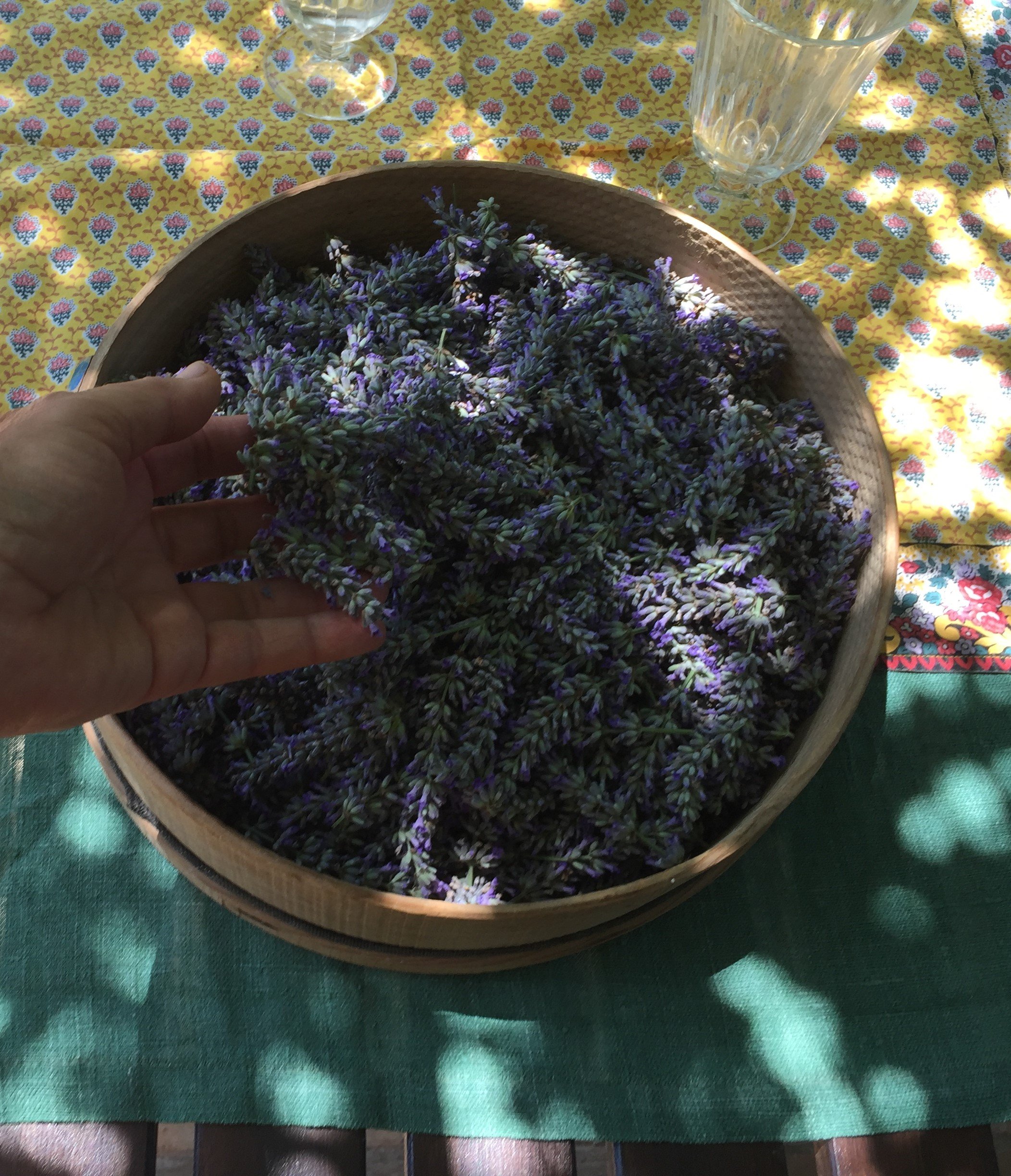 The lavender flowers in little sachets in the guesthouse are from the garden