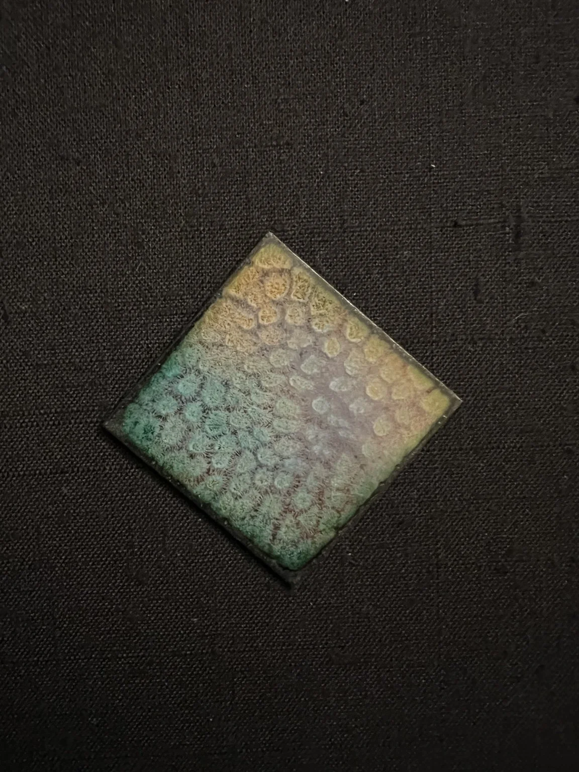 E8263134-026B-4D43-A64E-526775D8FC0F.jpeg