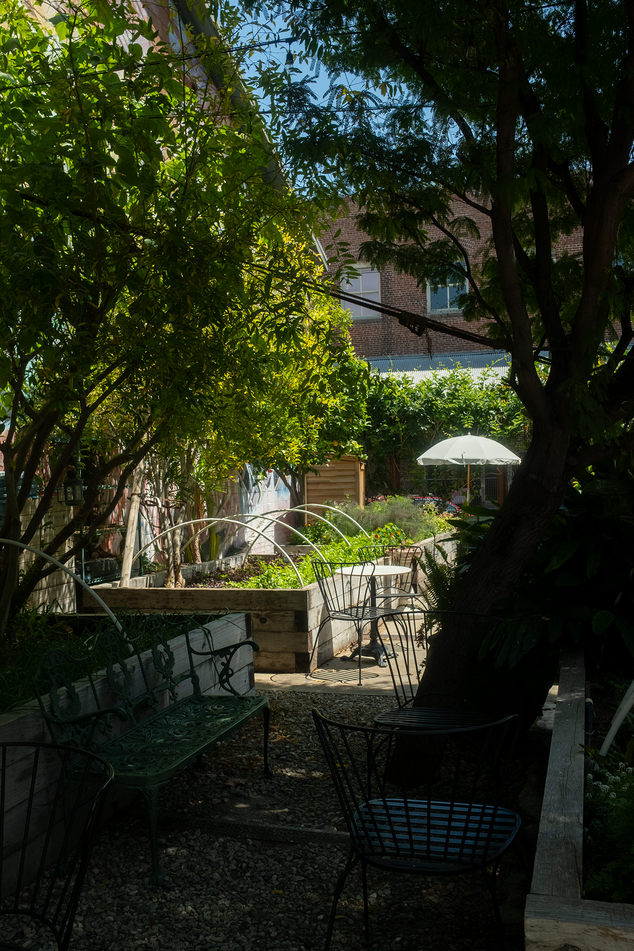 Photo of a courtyard with trees, herbal garden beds, bench, and tables. — Los Angeles Therapy for Burnout