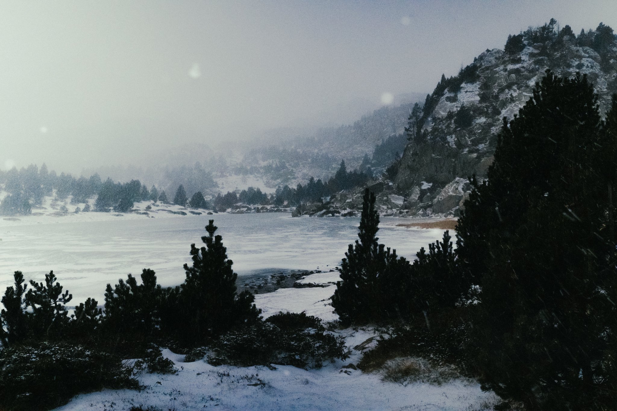 DSCF2627.jpg