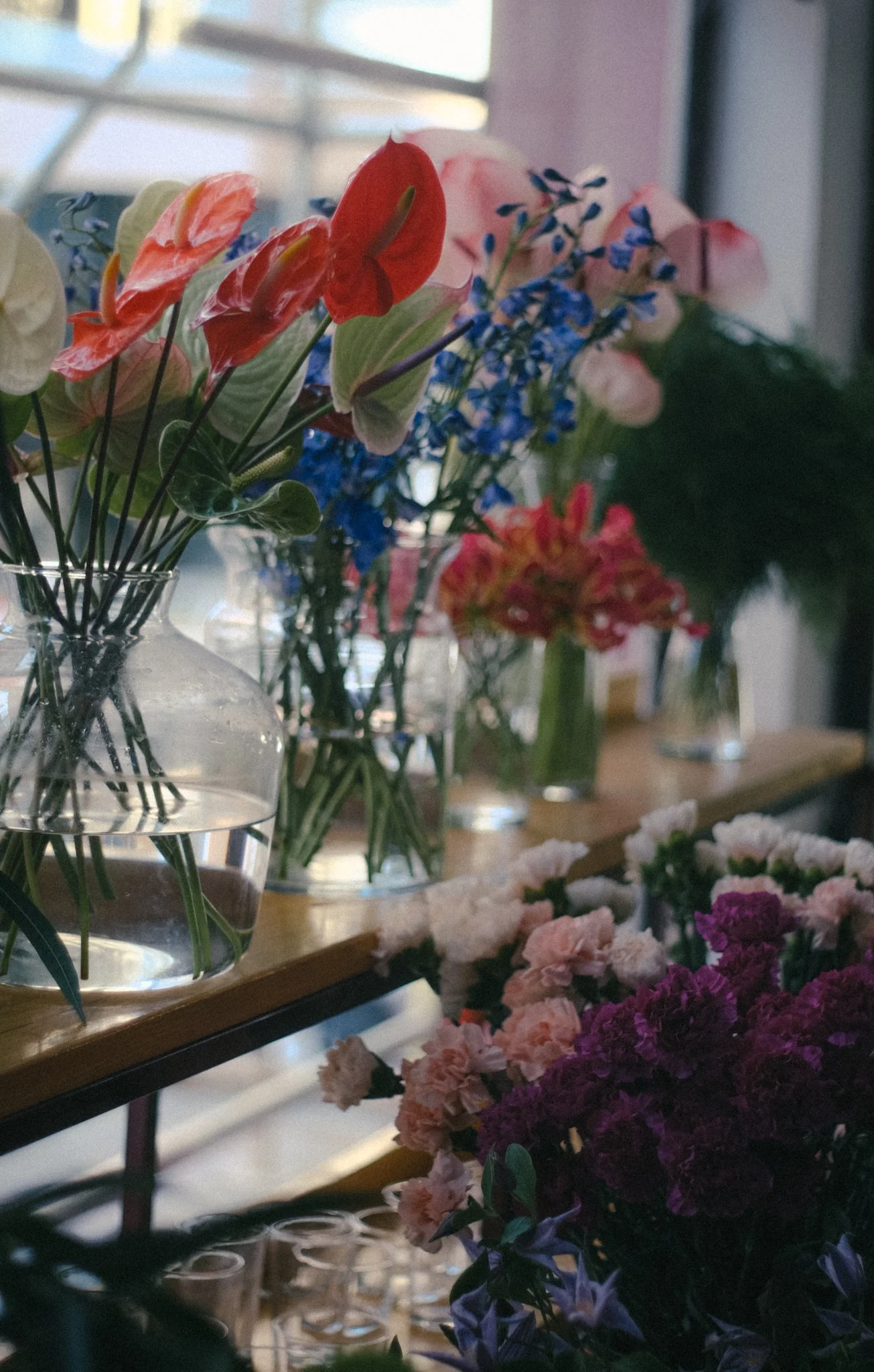 DSCF5881.jpg
