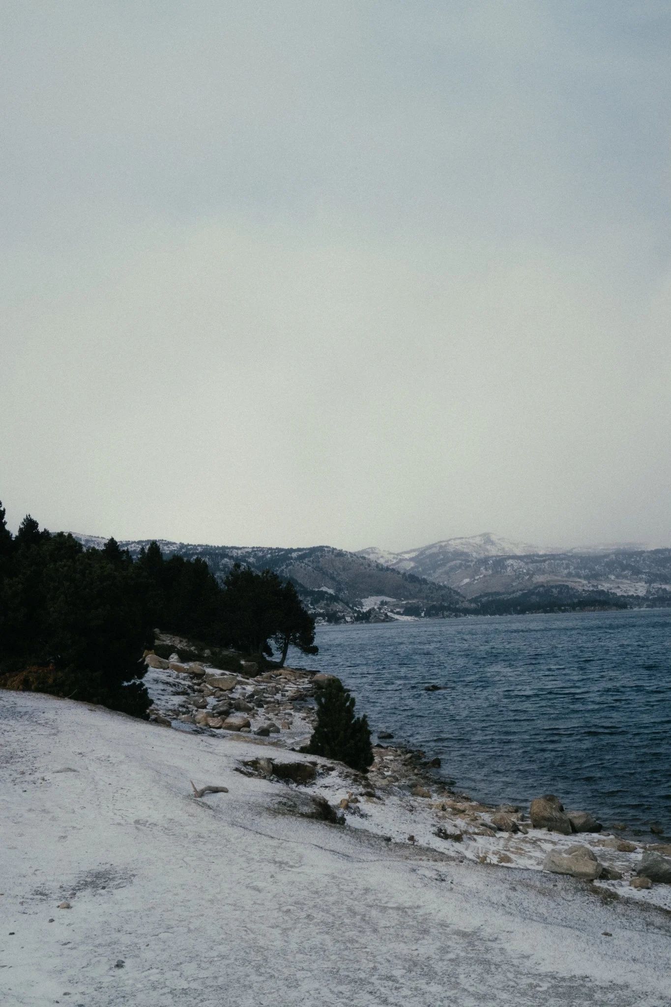 DSCF2775.jpg