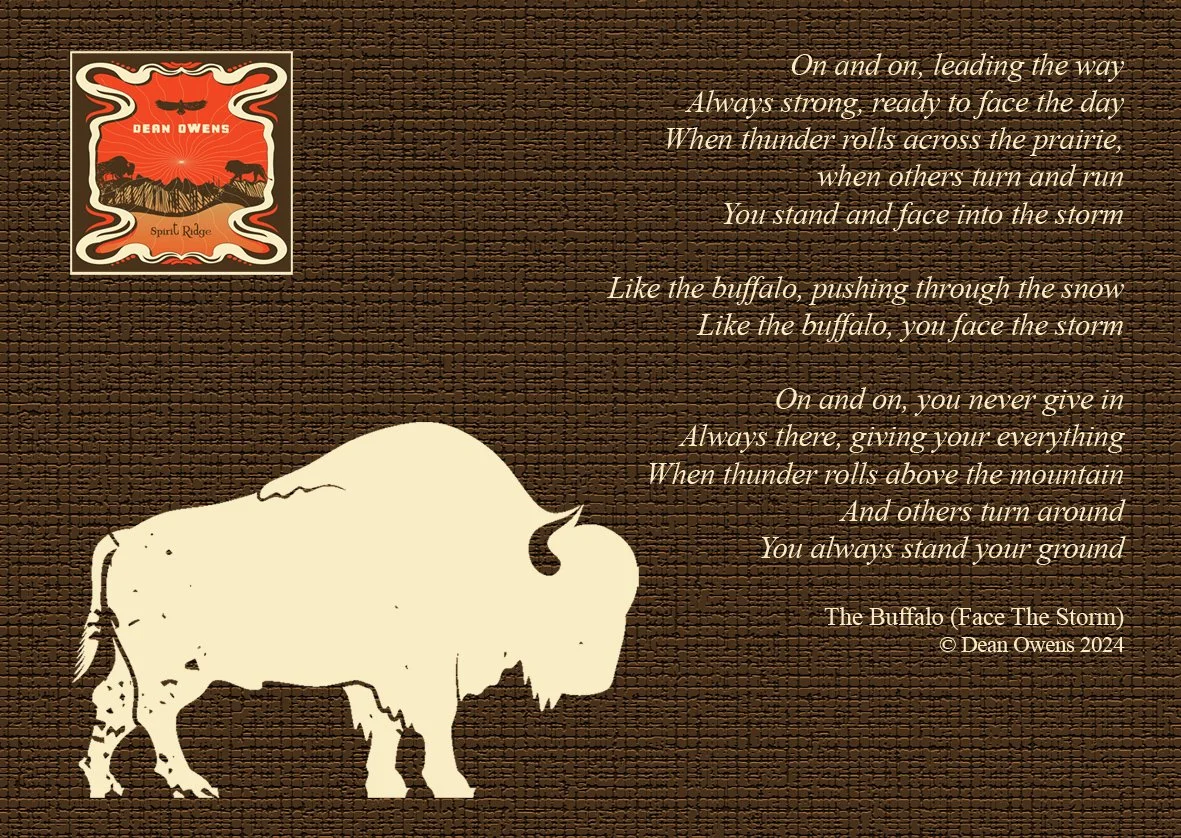 A6 card - buffalo .jpg
