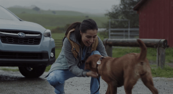 dog2-ezgif.com-video-to-gif-converter.gif