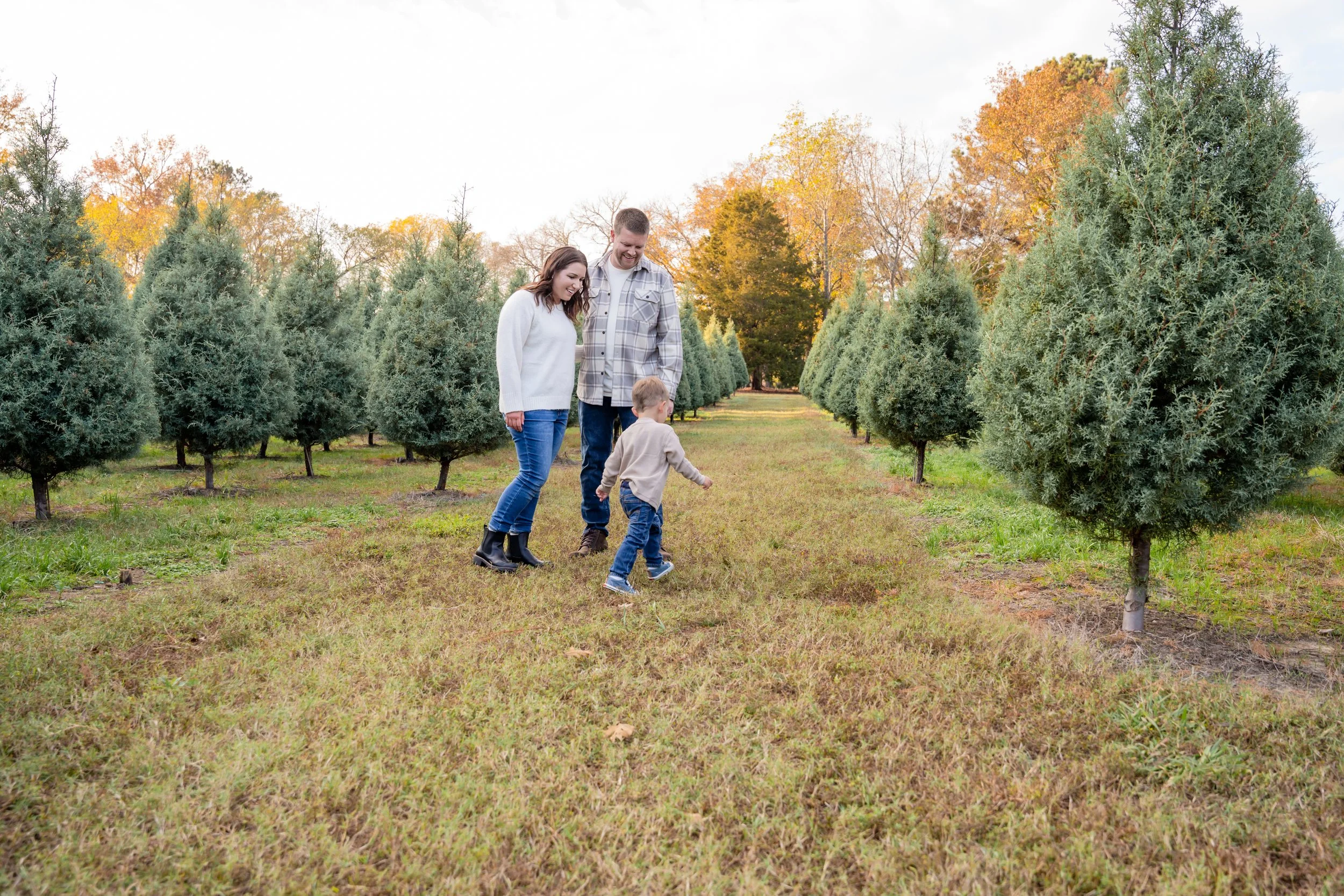 A family of three, a woman, a man, and a young boy, walking and playing outside during fall in a Christmas tree farm with rows of evergreen trees and colorful autumn foliage in the background during session with raleigh family photographer