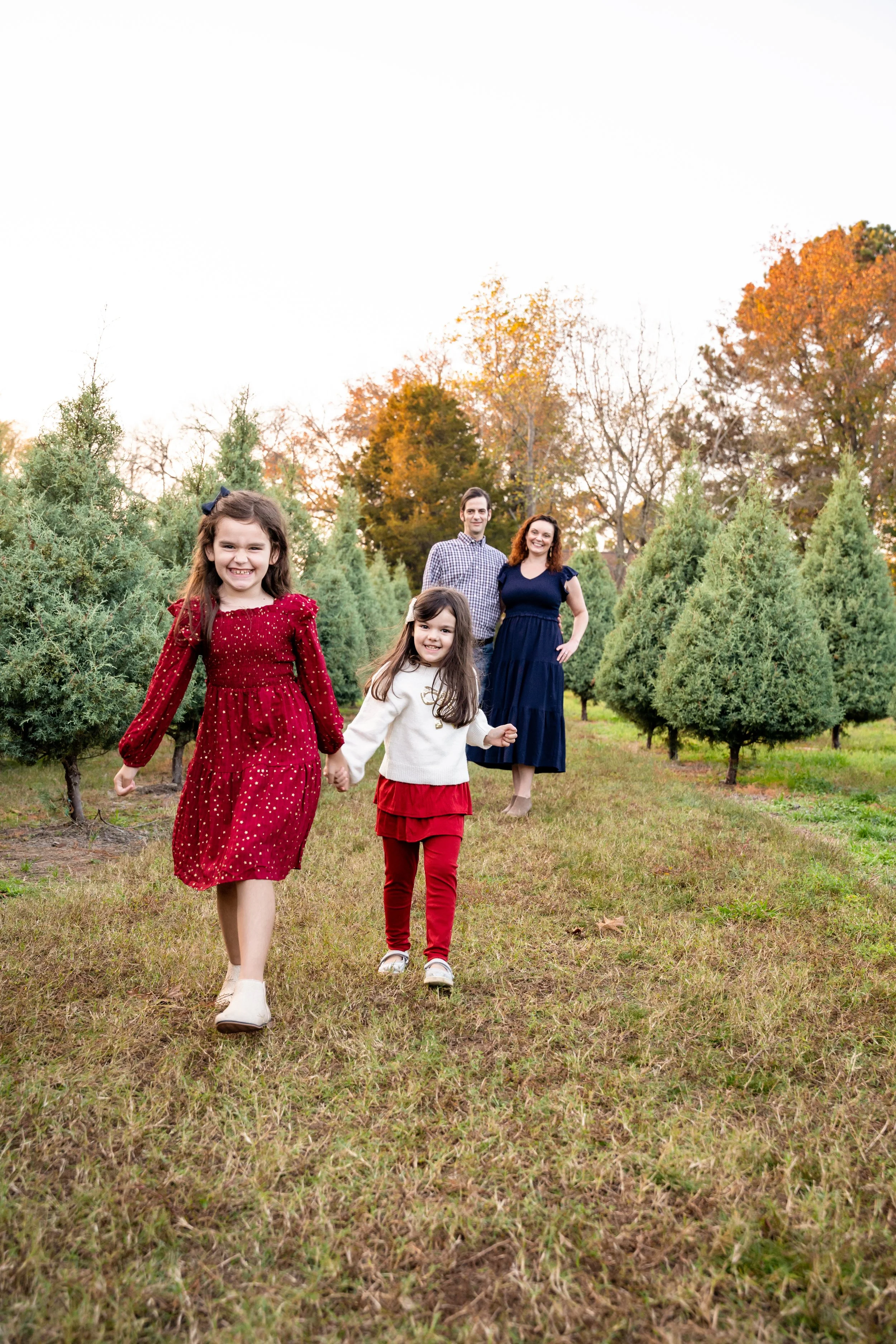 A family of four walking through a Christmas tree farm with evergreen trees during autumn during session with raleigh family photographer