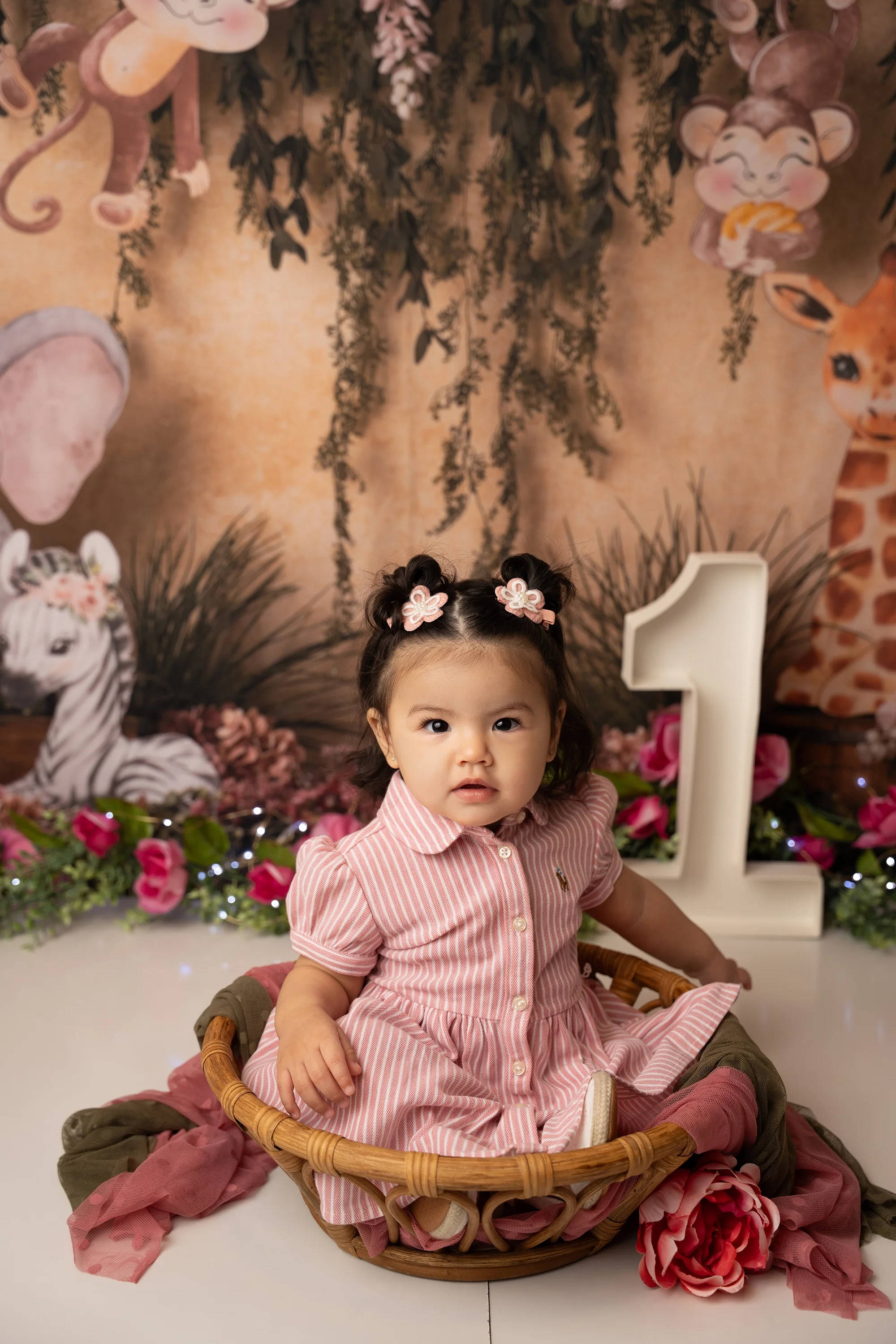 raleigh cake smash photographer