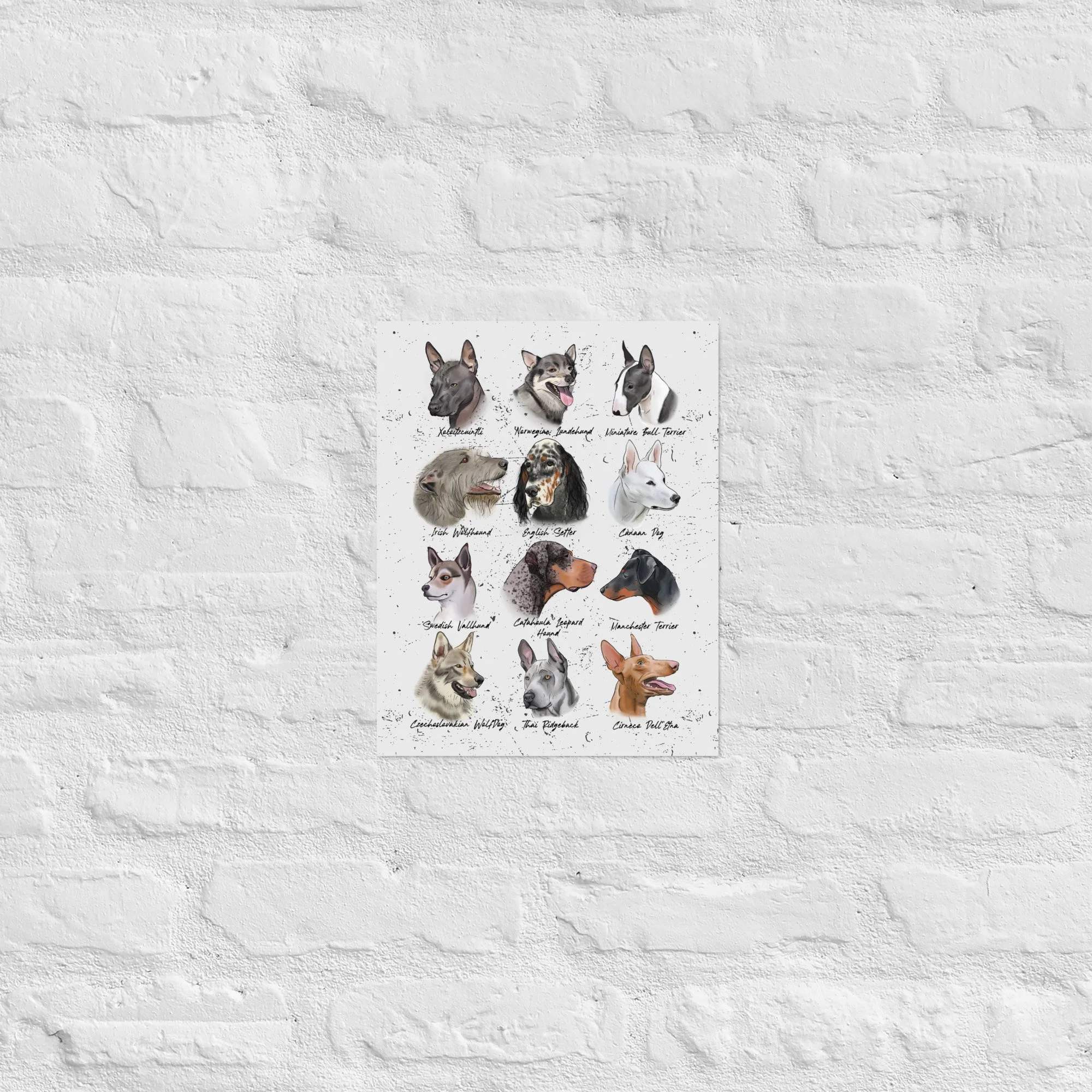 enhanced-matte-paper-poster-(in)-11x14-front-678e791217bff.jpg