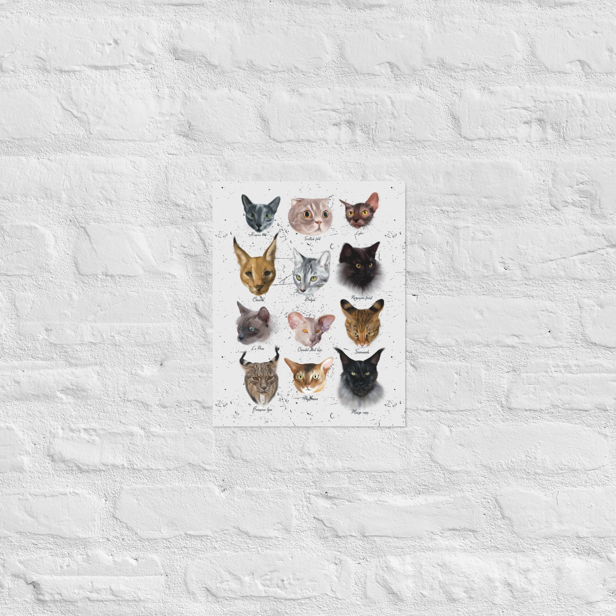 enhanced-matte-paper-poster-(in)-11x14-front-678e7f7154283.jpg