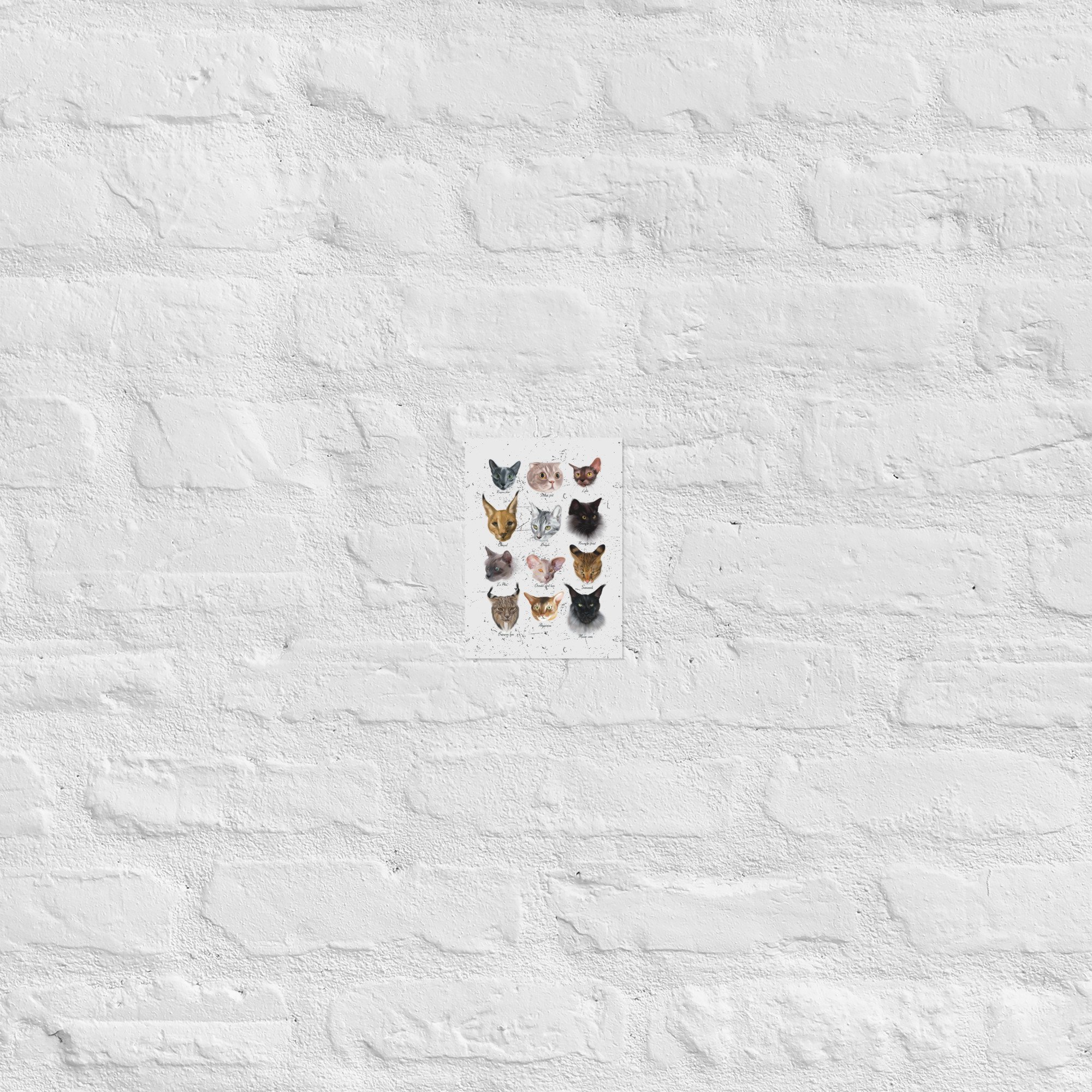 enhanced-matte-paper-poster-(in)-5x7-front-678e7f715432a.jpg