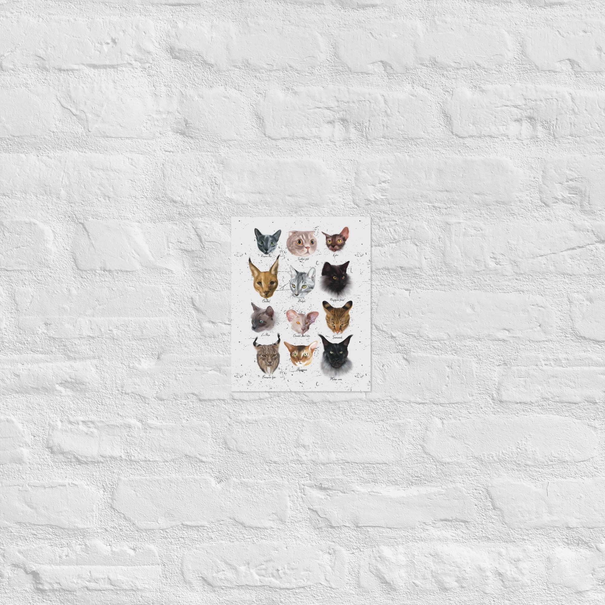enhanced-matte-paper-poster-(in)-8x10-front-678e7f71543c0.jpg