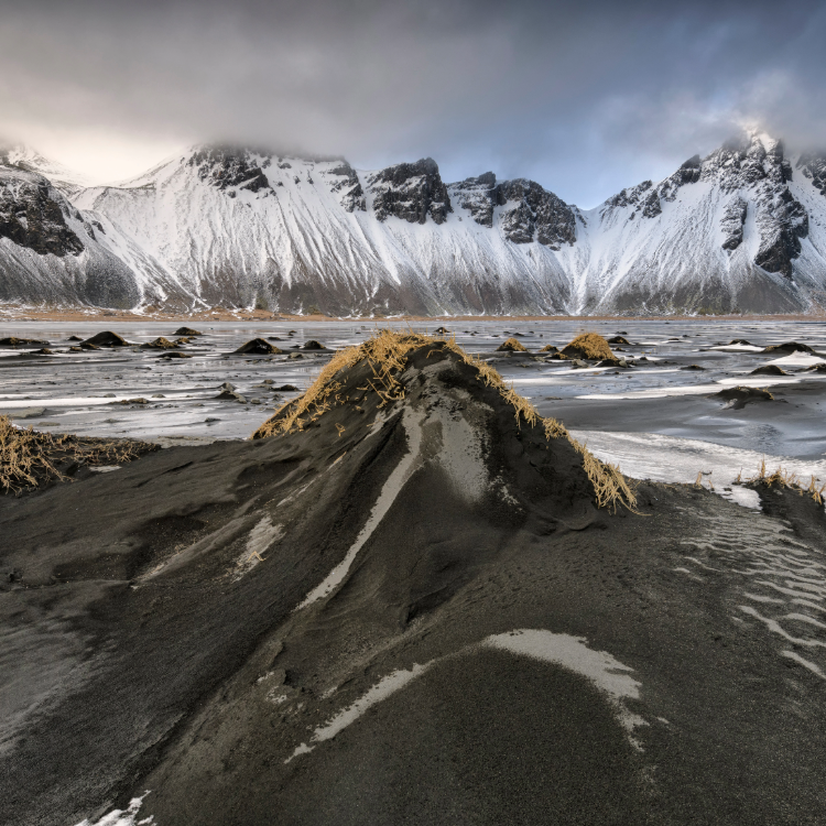 Ditching the Beta: A CFO’s Perspective on How Glassbury AI De-Risks Alzheimer’s Clinical Trials and Stabilizes the Cost of Capital