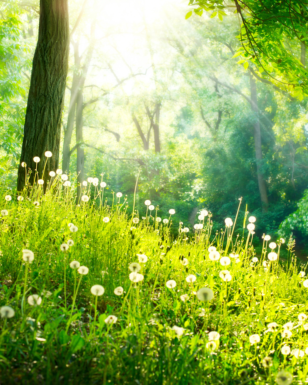 AI Revolution: Accelerating Drug Discovery for Alzheimer's and Neurological Disorders