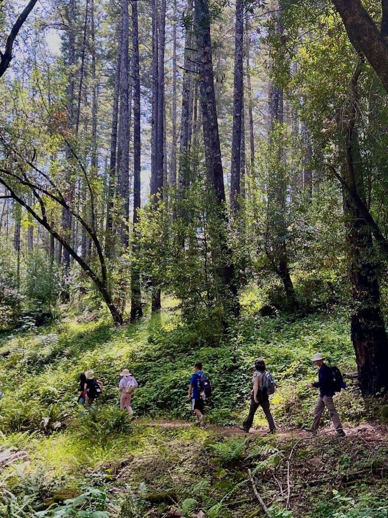 Every trail tells a story 🌲

These photos highlight the people doing the work to help preserve Trione-Annadel State Park &mdash; from California State Park rangers and staff to the volunteers and crews from Friends of Trione-Annadel and Redwood Trai