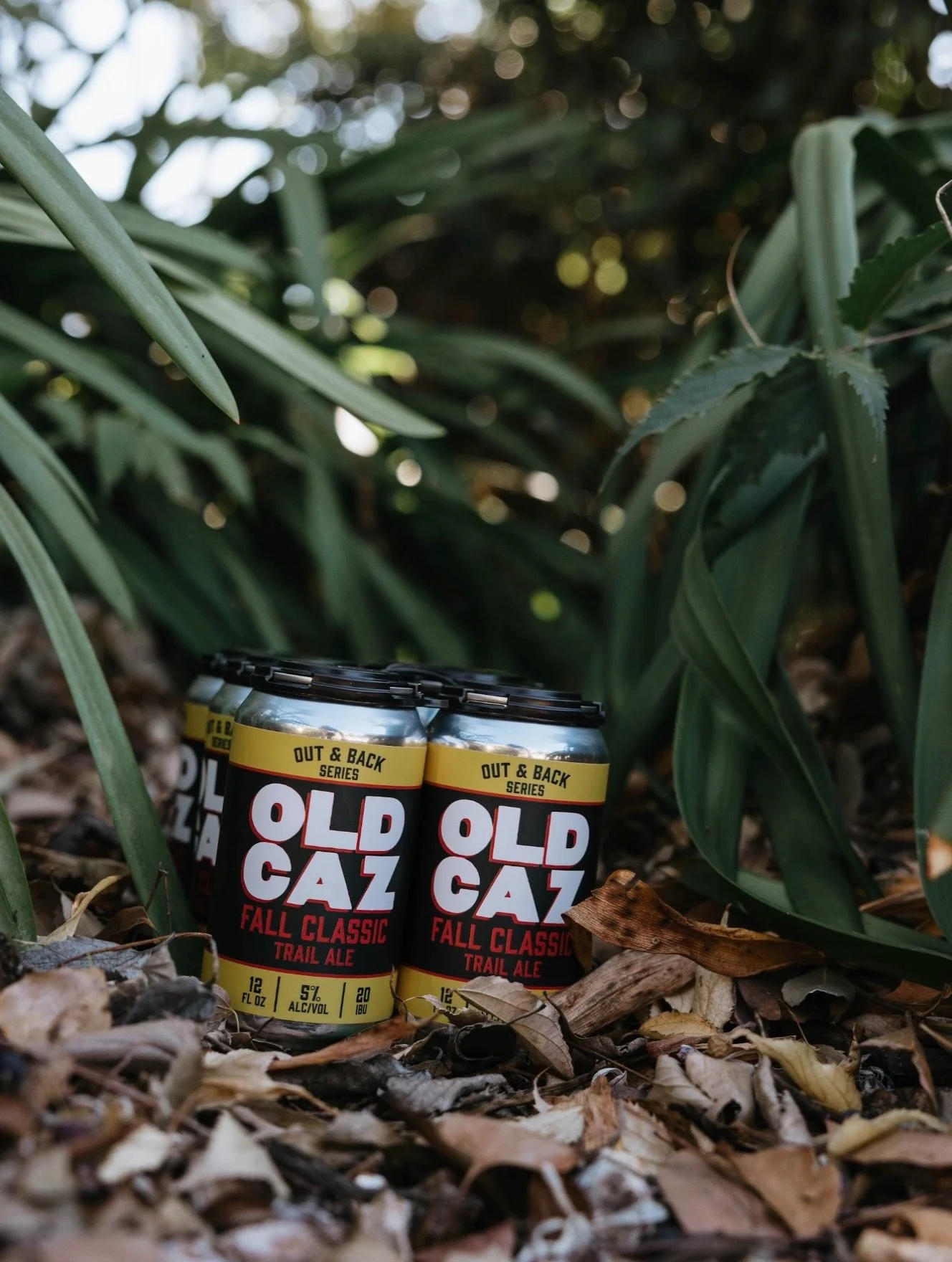 Our Out &amp; Back series returns with a vengeance as the latest and greatest iteration releases in cans and on draft for the @sonomafallclassic ! 🎉

Fall Classic 🏃🏽
Collaboration Trail Ale with @healdsburgrunningcompany
5% / 20 IBUs
Hops: Ekuanot