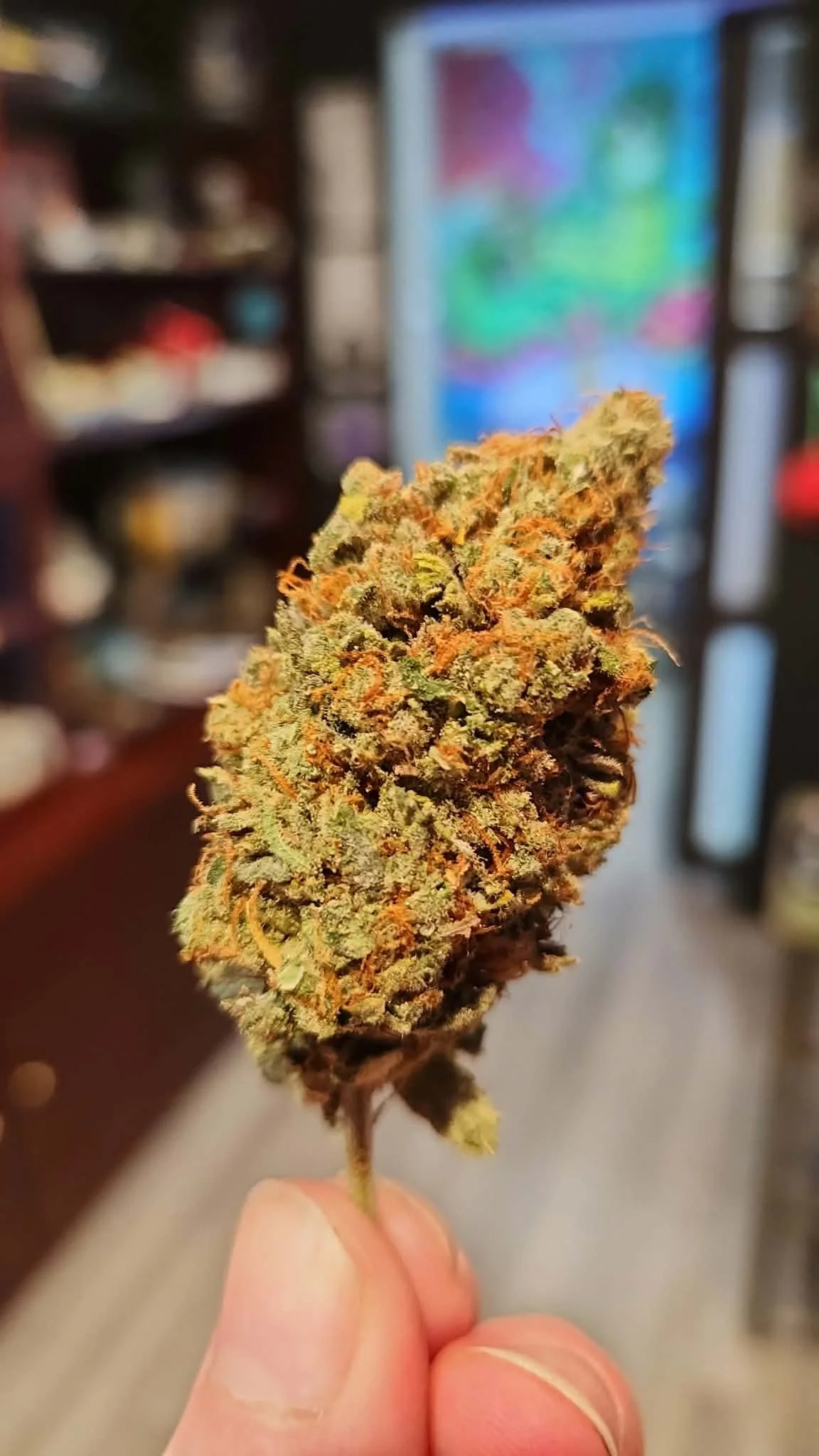 3bc78a80-d354-46a3-98fa-11b22b8b9ad6.jfif