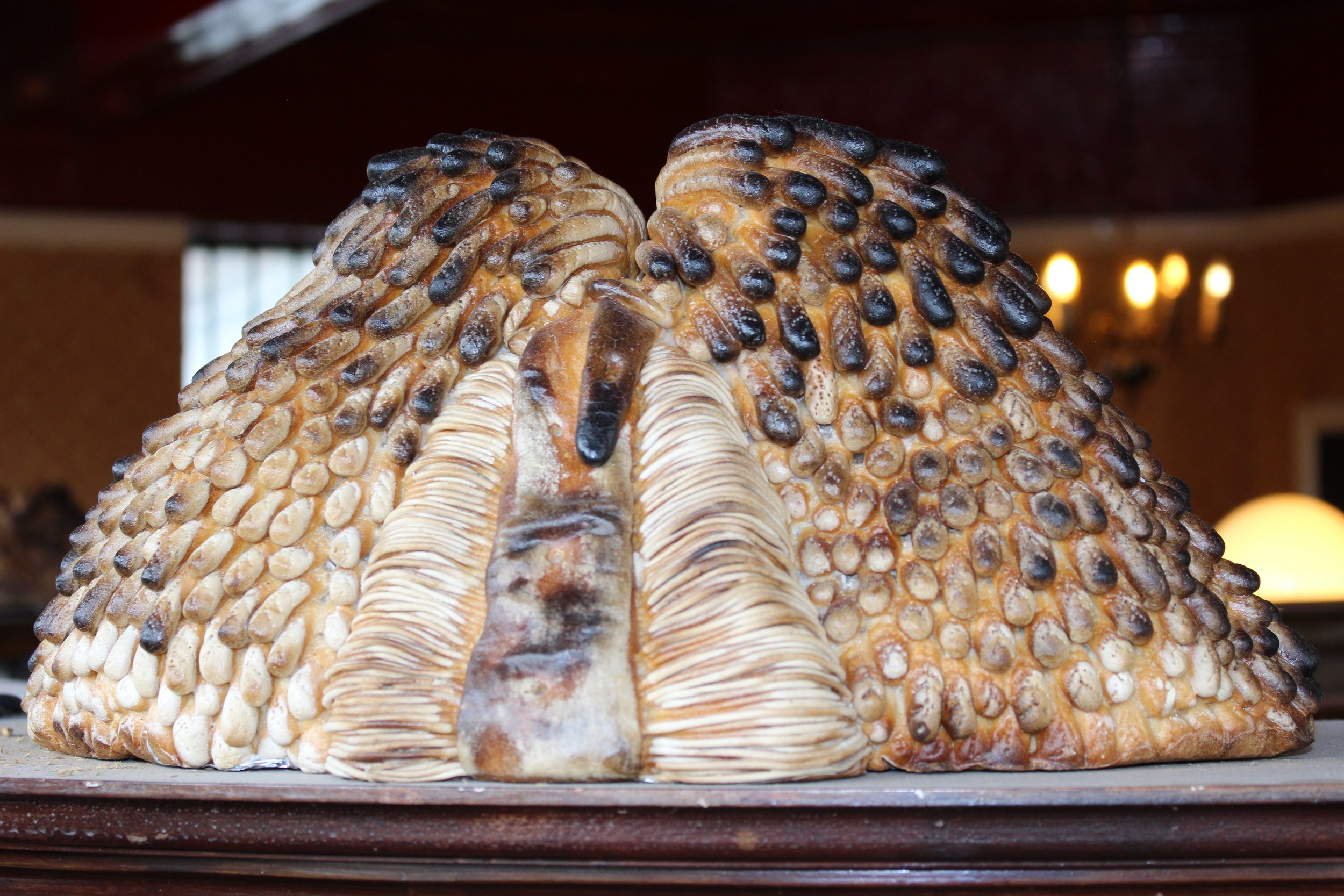 Substitutes for bread (2023) flour, salt, glaze