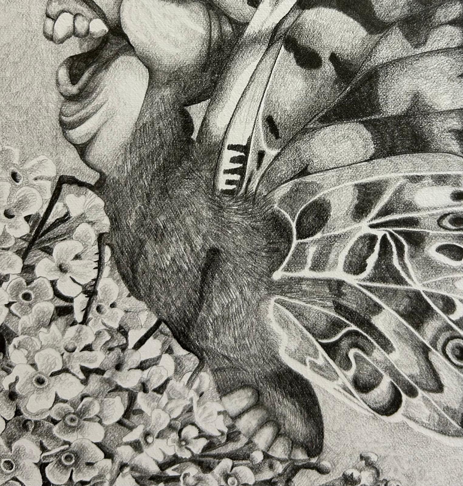 Detail from Painted Lady, 2023, graphite, paper, framed