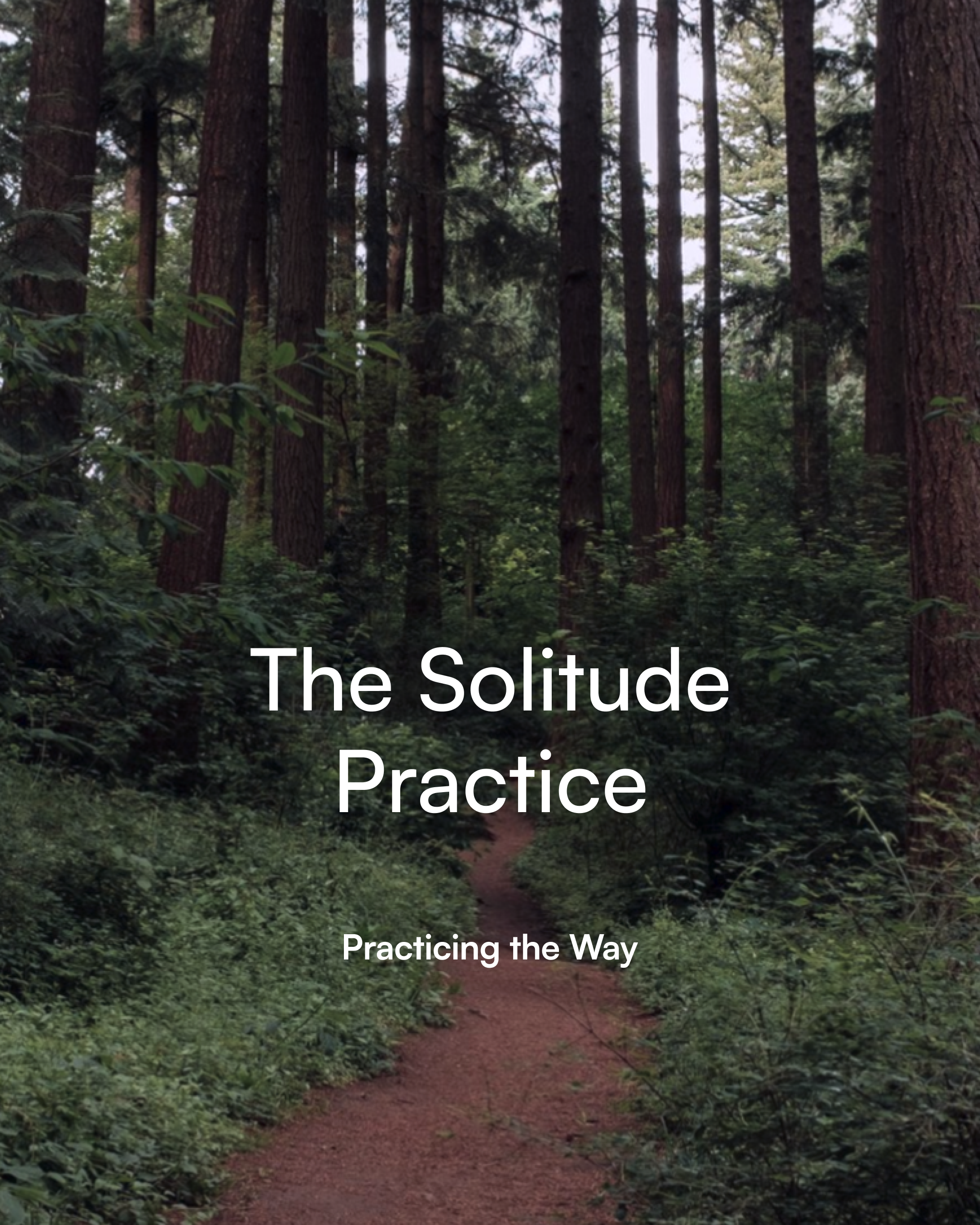 A forest trail with tall trees and green foliage, overlaid with the text 'The Solitude Practice, Practicing the Way.'