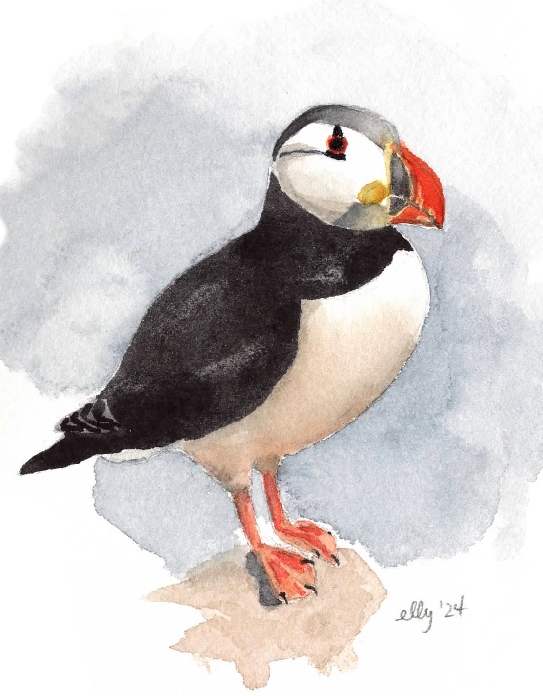 24.10.14_EO_Puffin.jpg