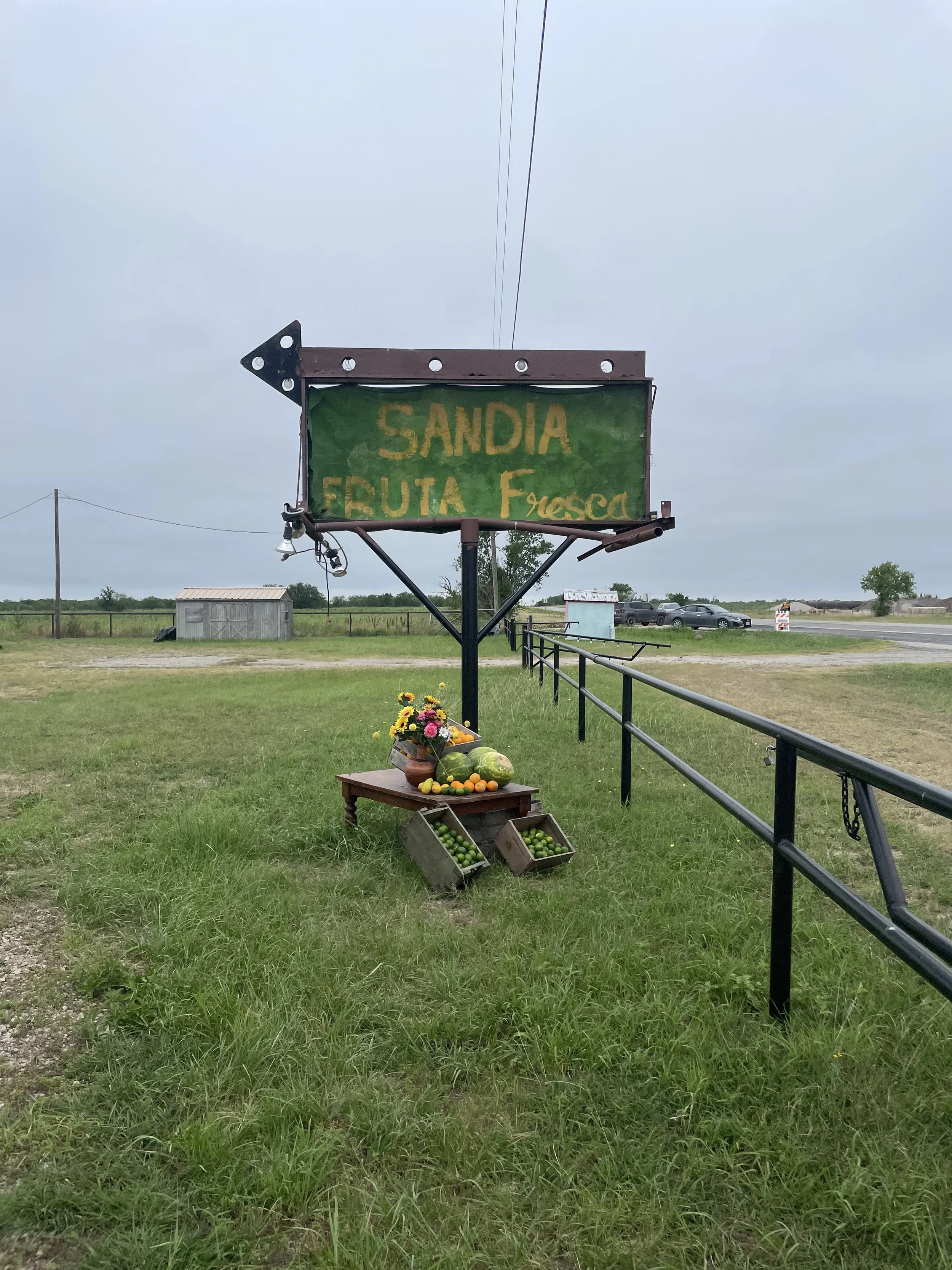 IMG_5041.jpeg