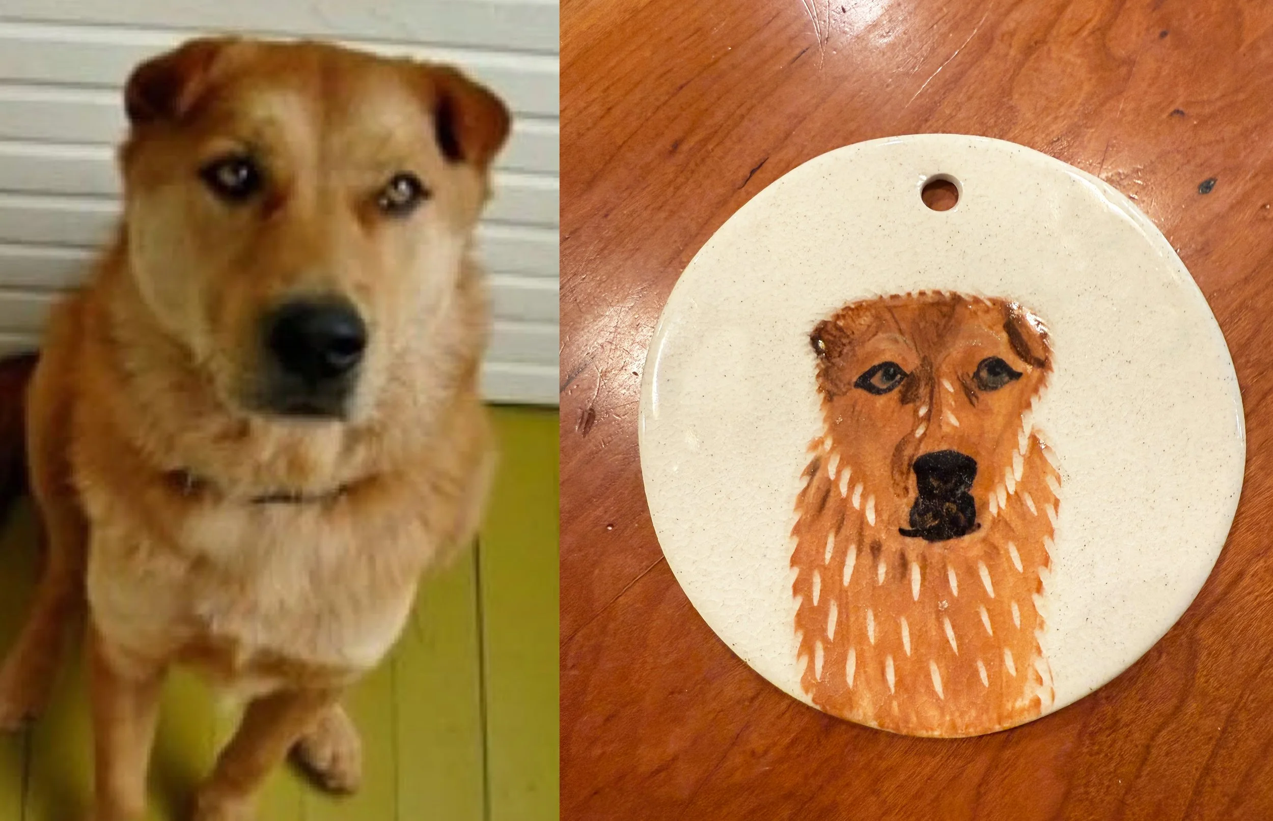 Katie_See_3 copy.jpg