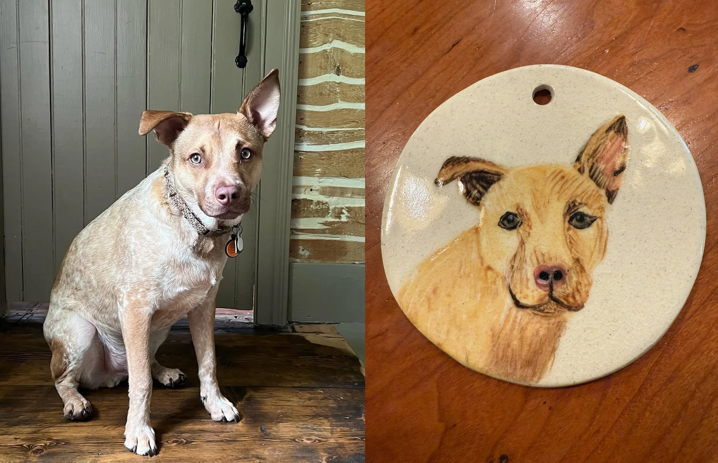 Katie_See_1 copy.jpg