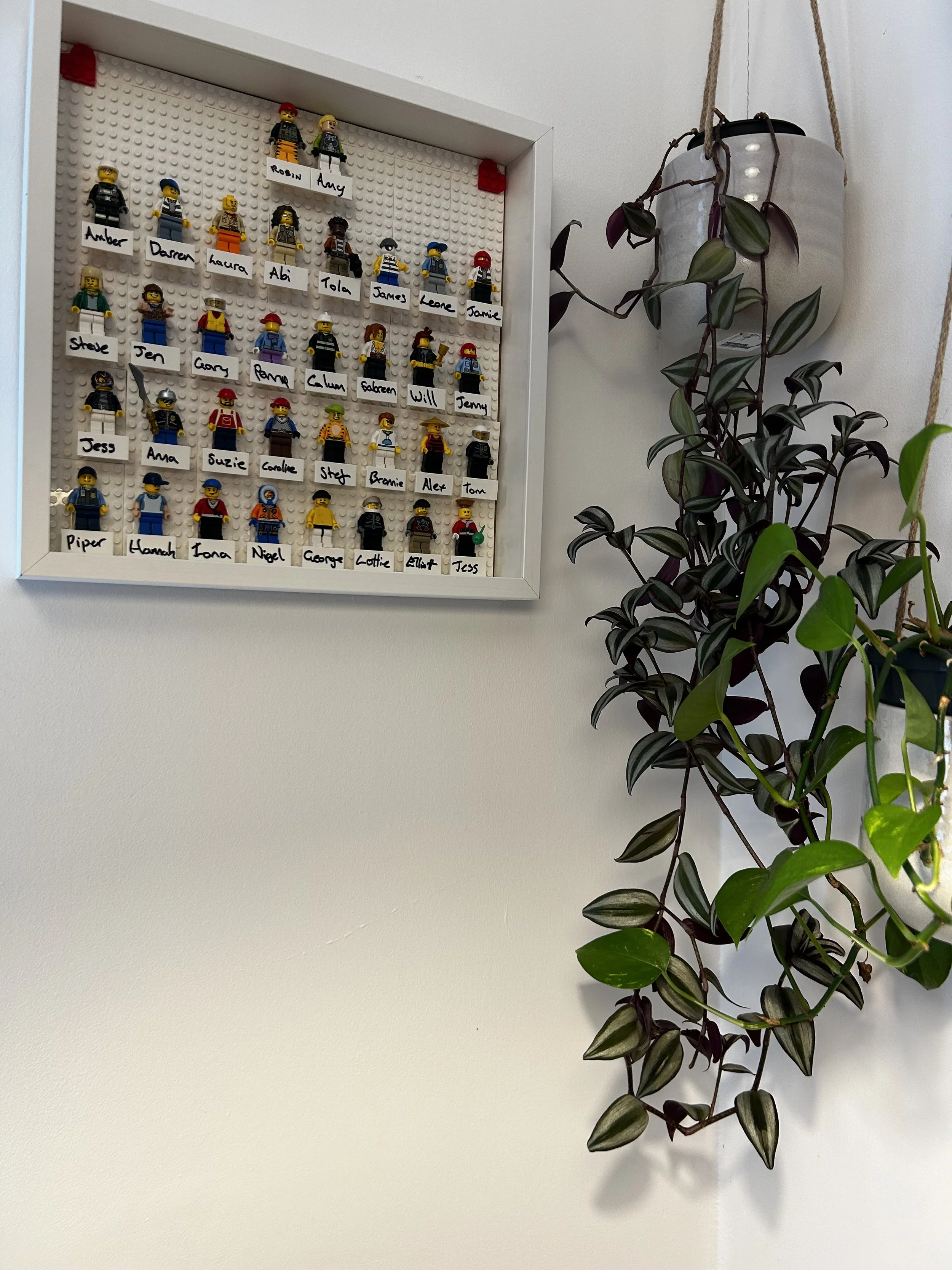 Lego mini-figurine display case with labeled Lego characters on a white wall next to hanging and potted plants.