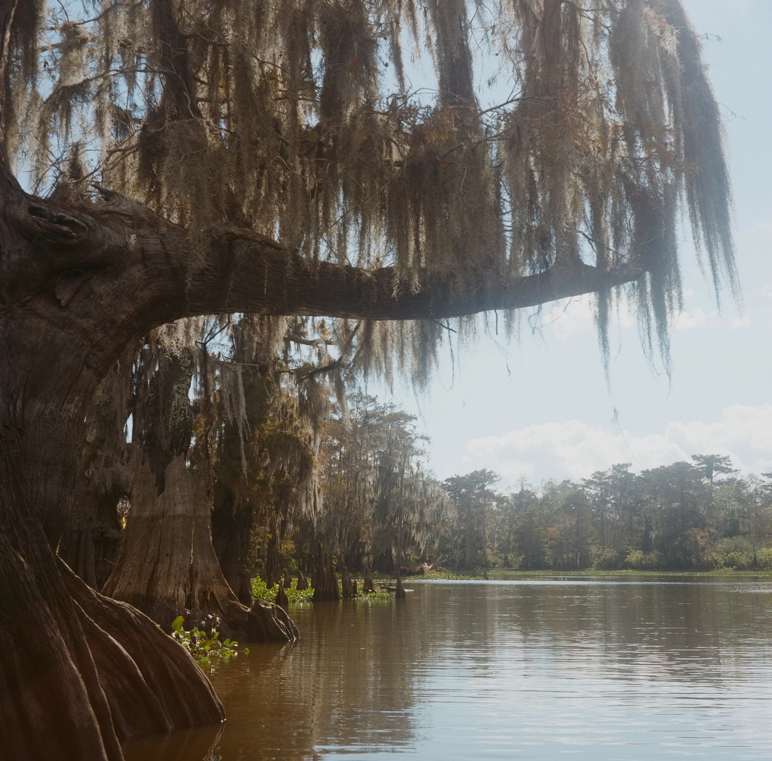 000015970002-1ed small.jpg