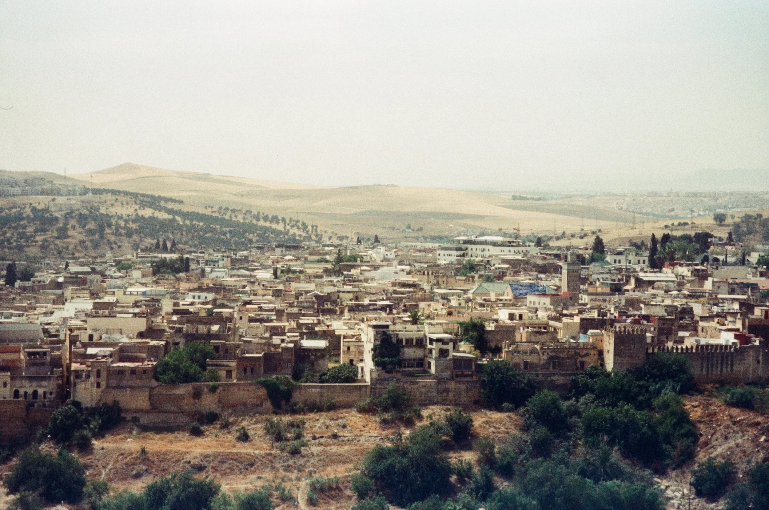 003-66783.jpg