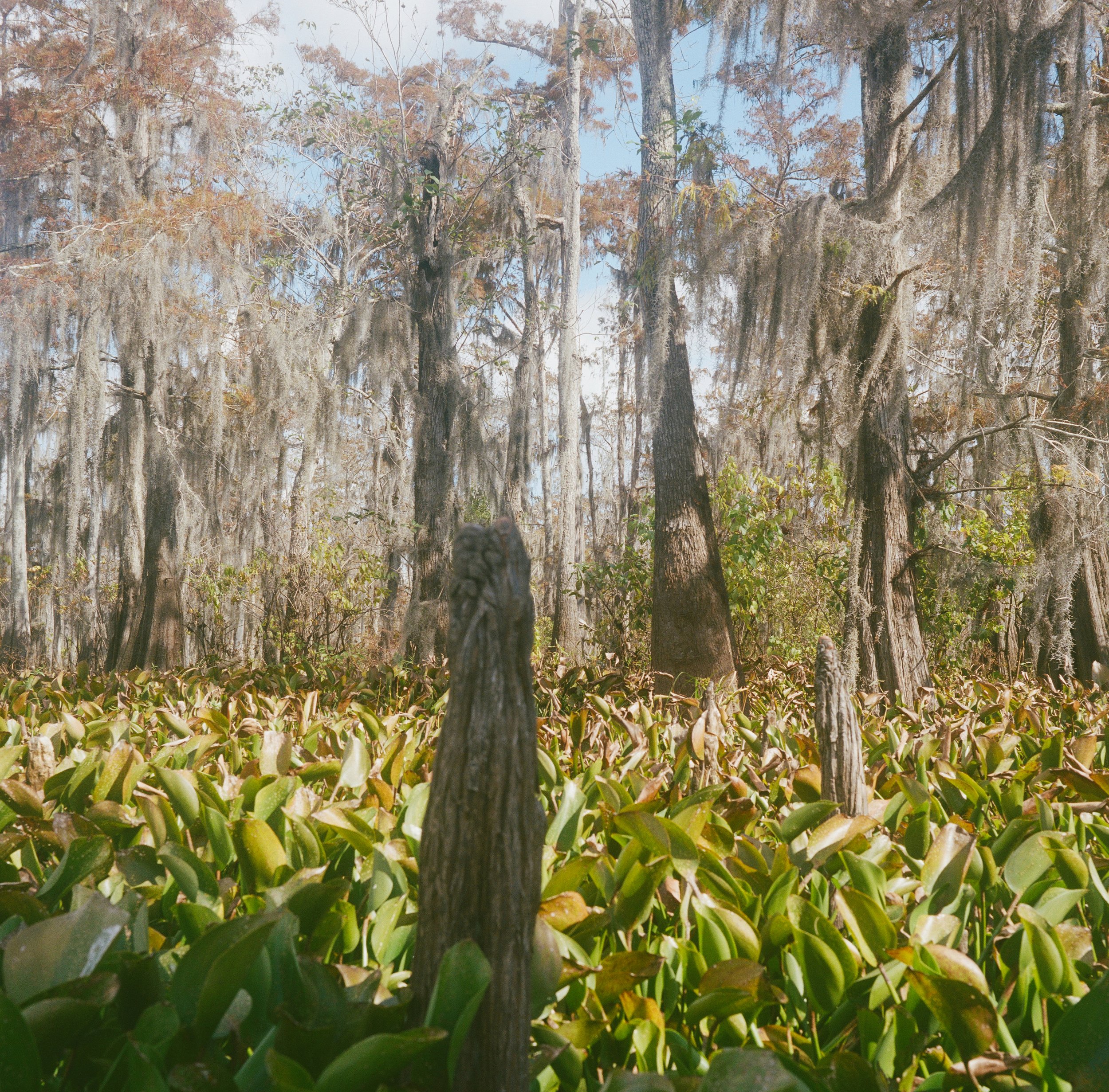 000015970001-1ed small.jpg