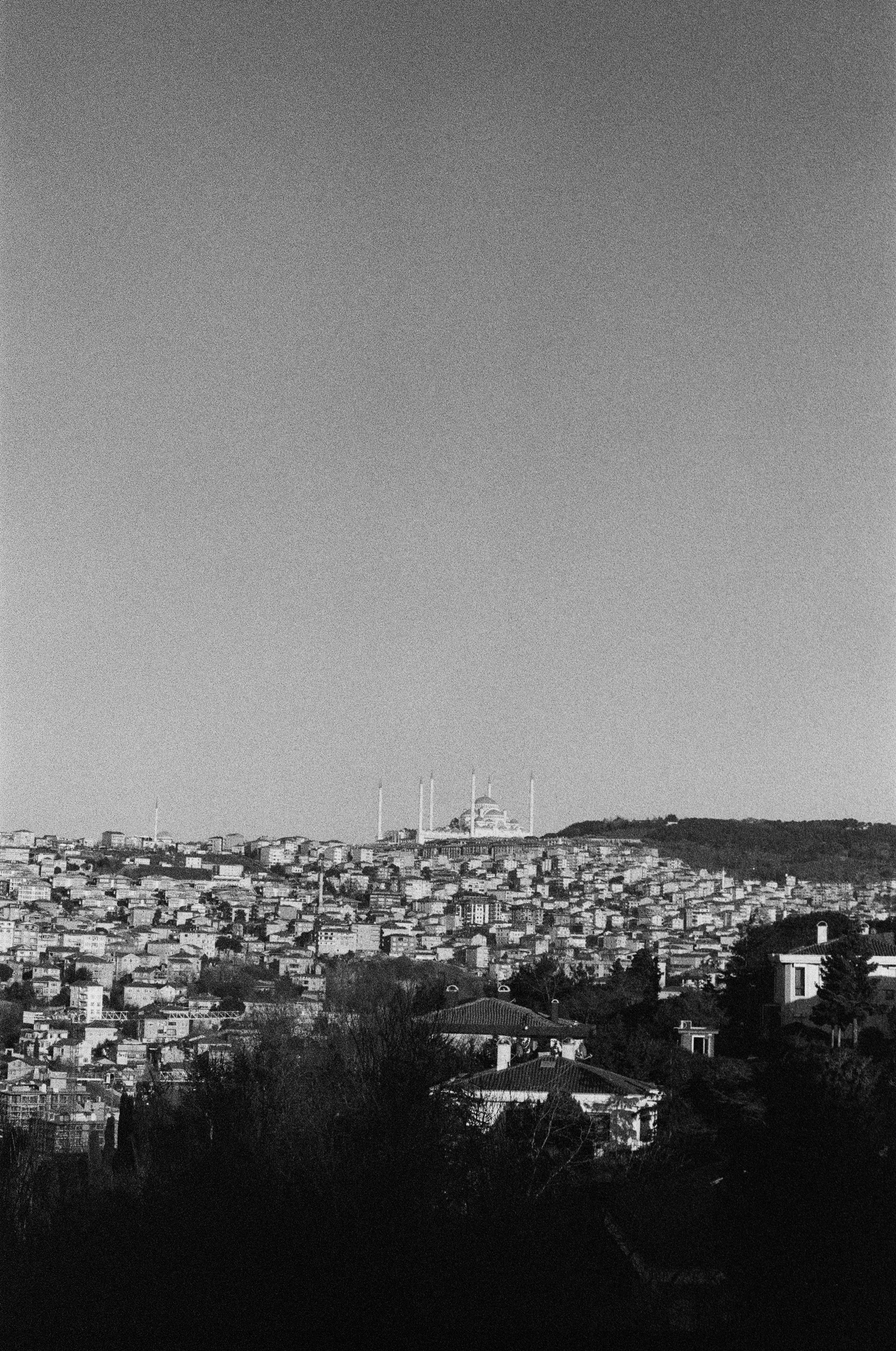 0035-66518.jpg