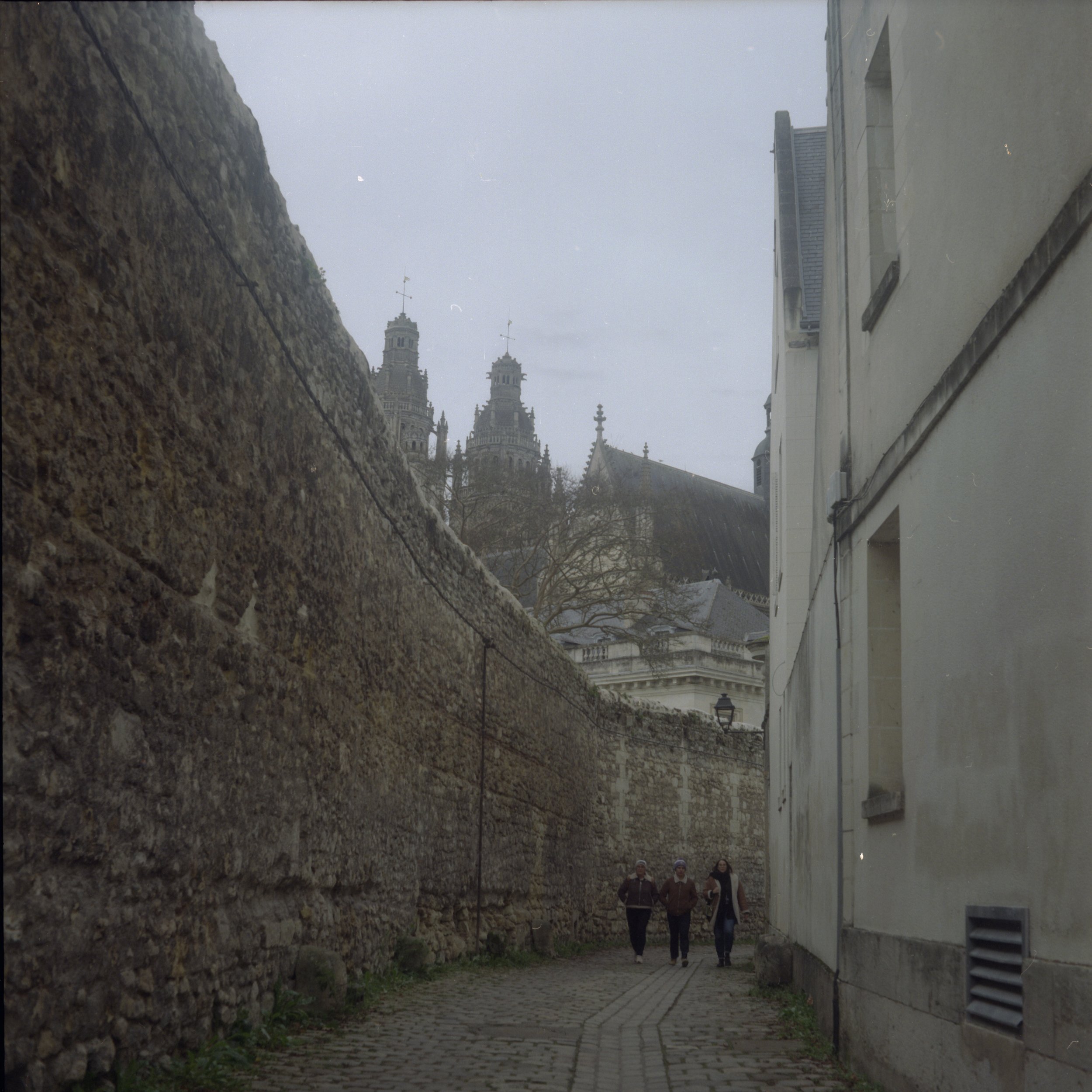 Scan 24.jpg