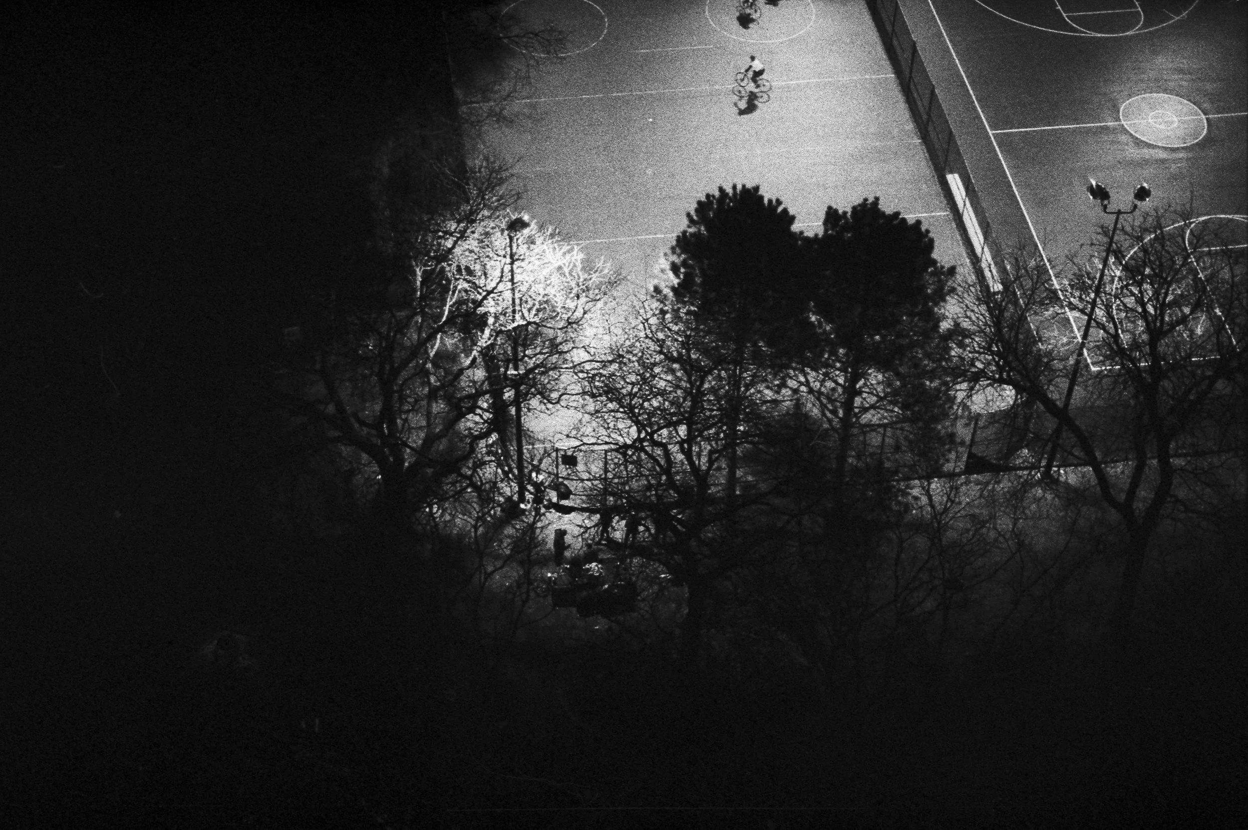 Scan 2-8.jpg