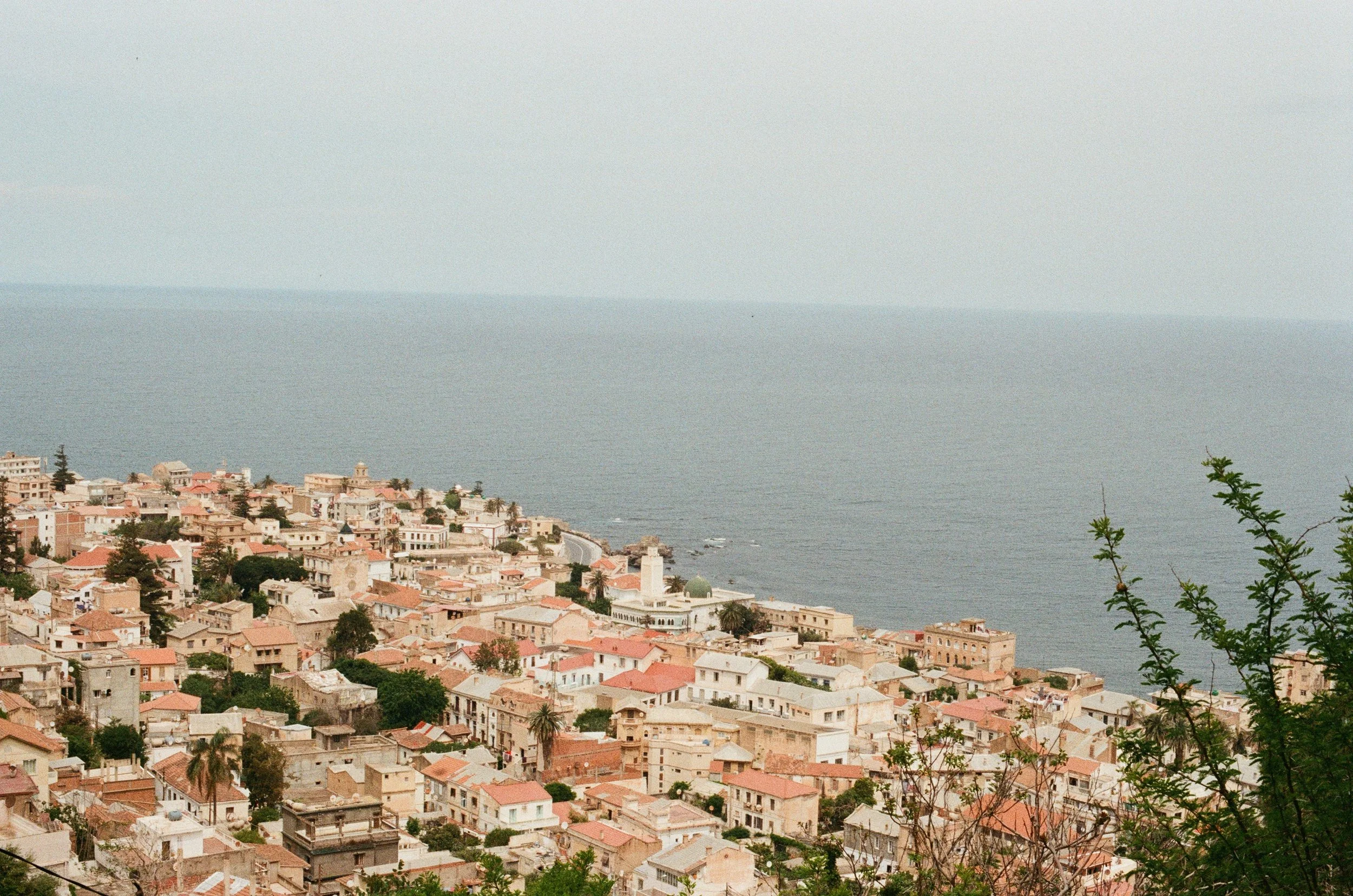 0024-94466.jpg