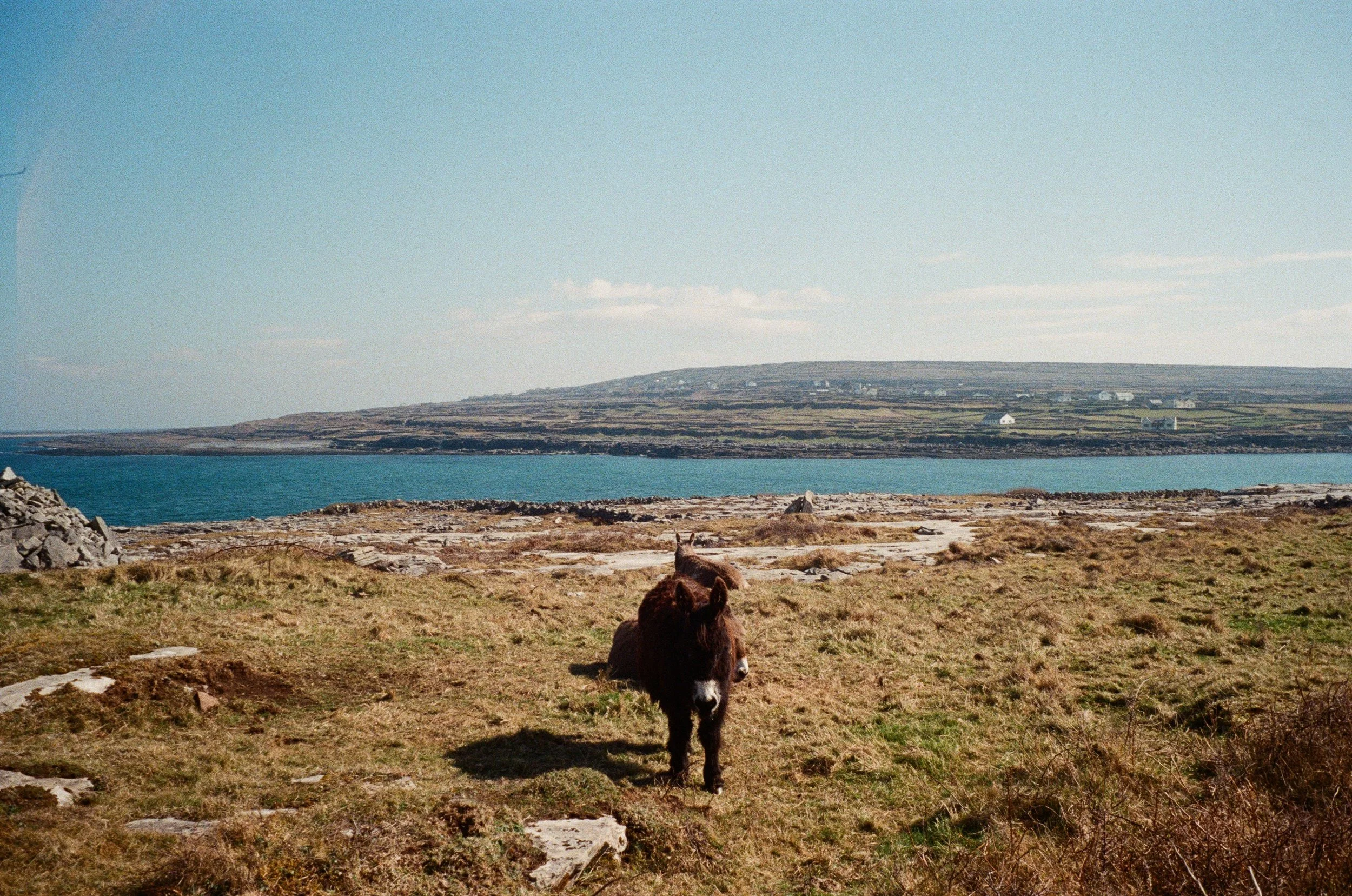 0013-59510.jpg