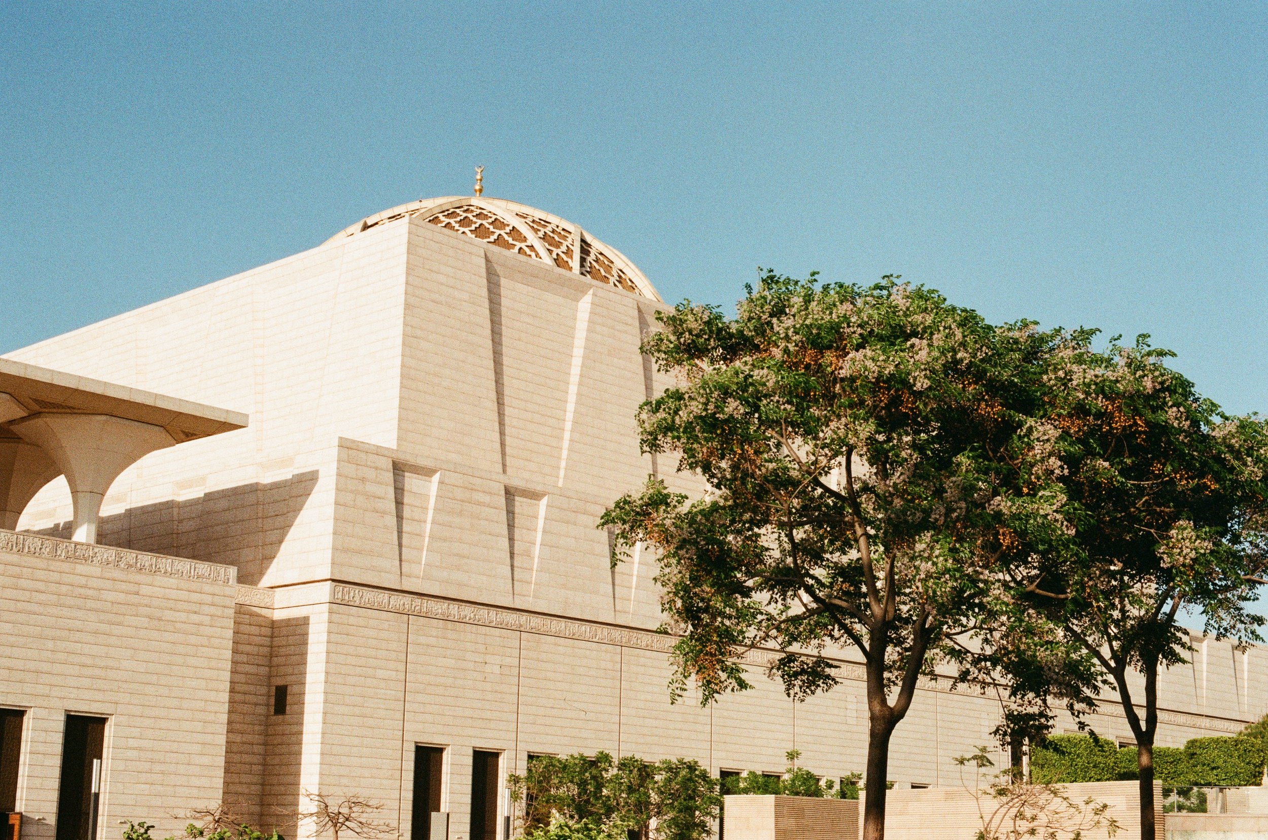 0014-2f696.jpg