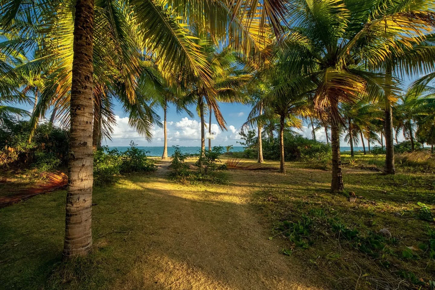 I am missing this path today.
