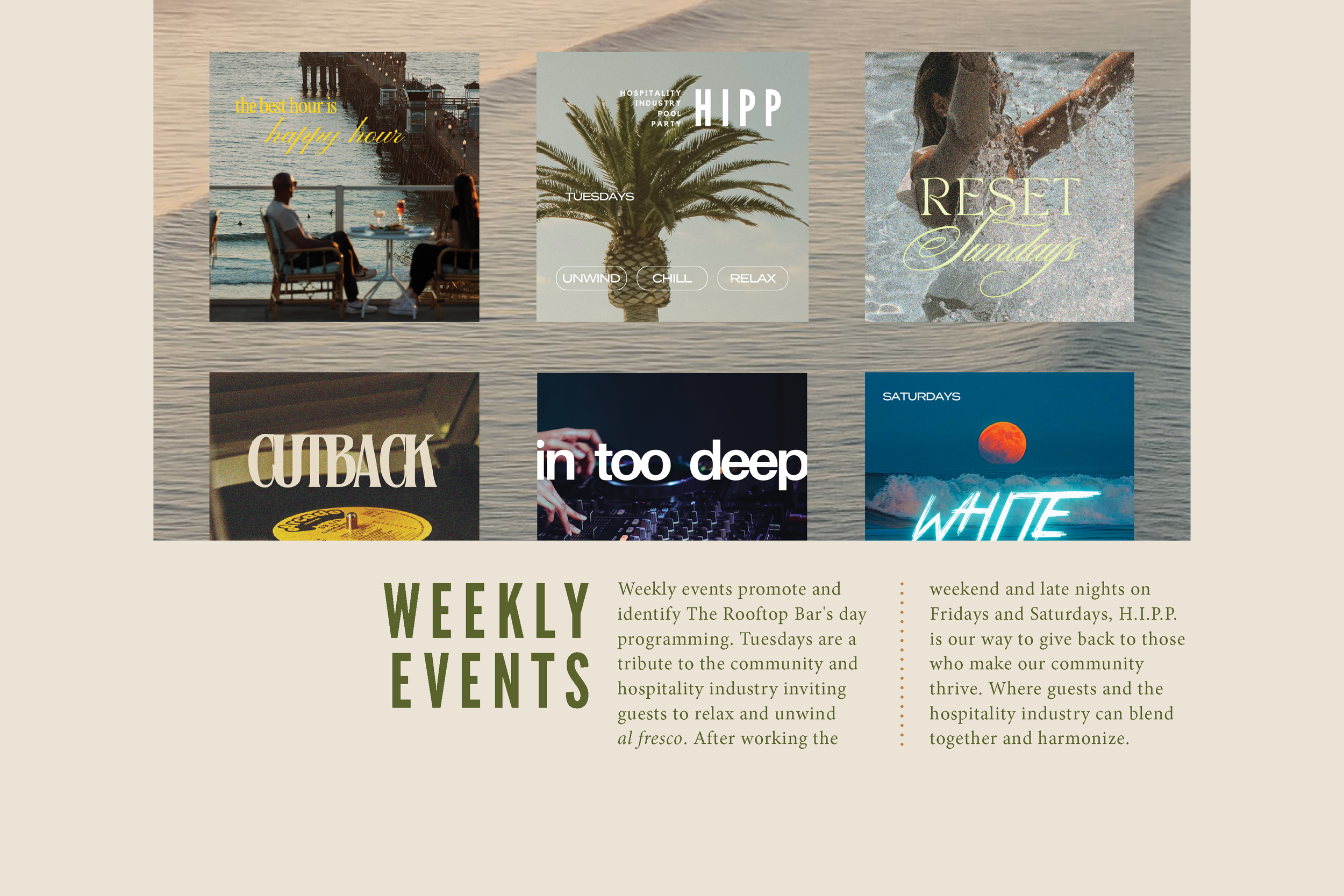 H.I.P.P. Brand Identity Guide7.png