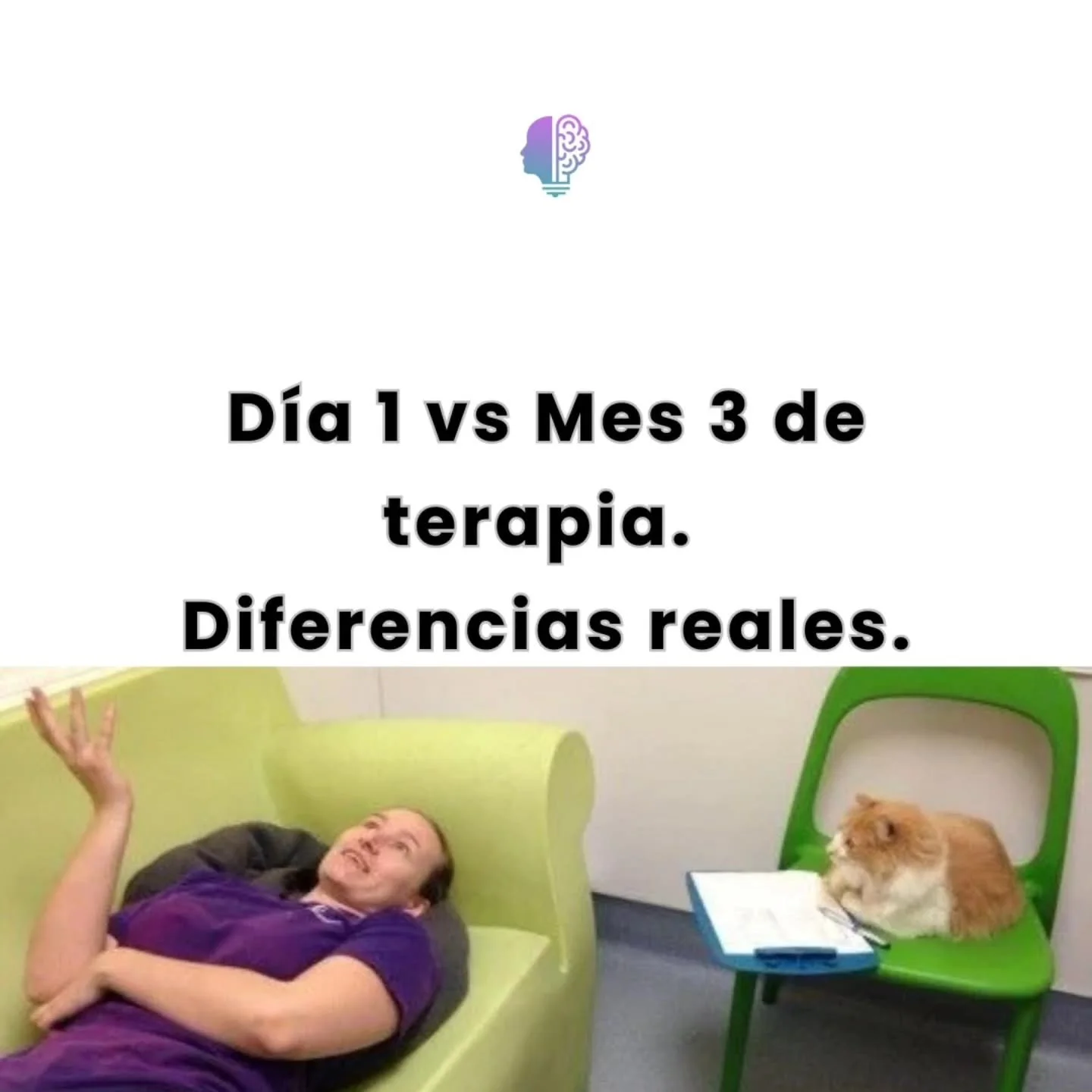 No quisiera generalizar, cada caso es diferente pero lo he visto tantas veces en consulta que quer&iacute;a compartirlo con un poco de humor.

Ojal&aacute; pudiera transmitiros como cambia todo cuando pasas por una buena terapia💜

Feliz d&iacute;a y
