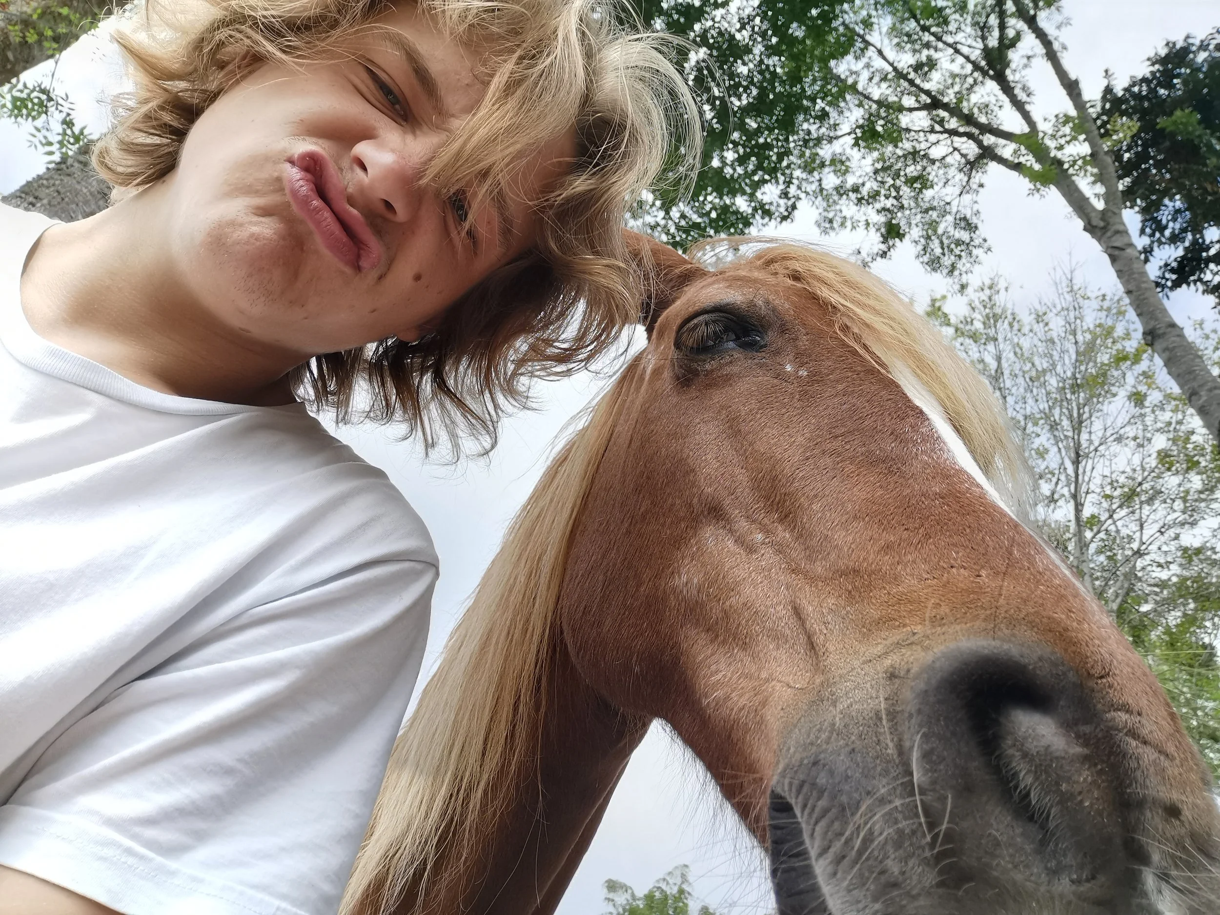 Yambolombia, Salento