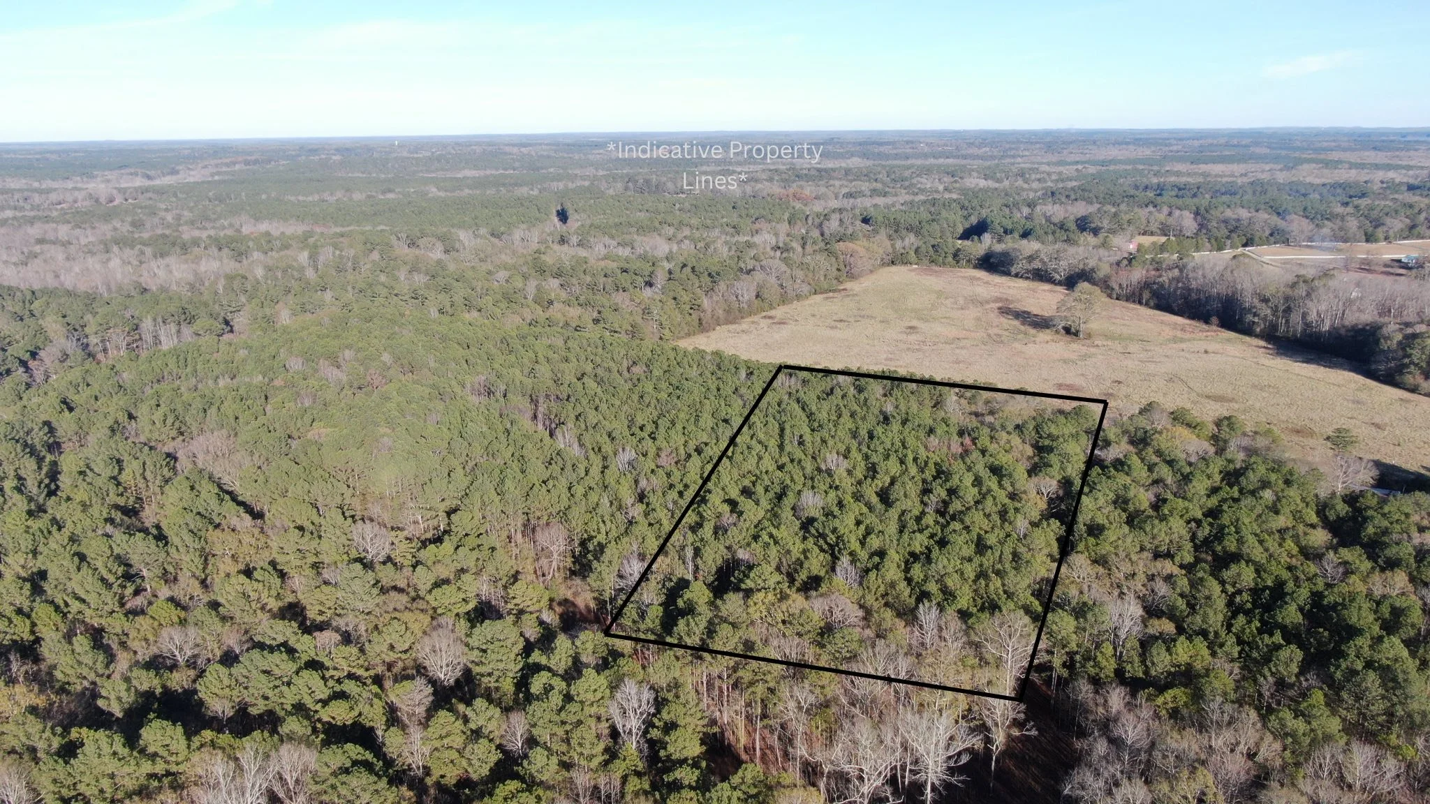 Aerial view of a heavily wooded forested area with a black outlined lot in the center, surrounded by open fields and trees under a clear blue sky.