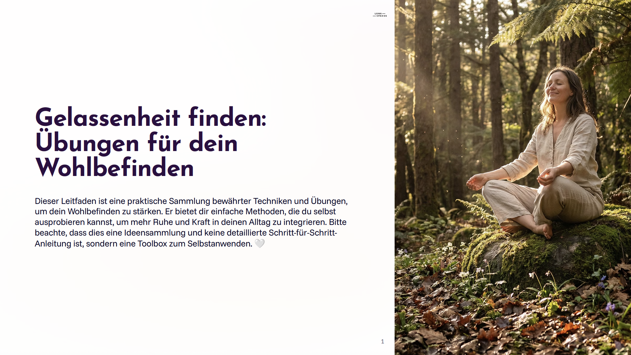 Inner Balance Kompass (Digitaler Guide)